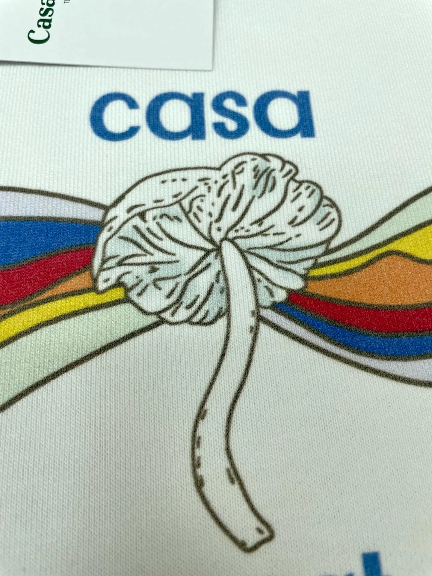 CASABLANCA LONG SLEEVE