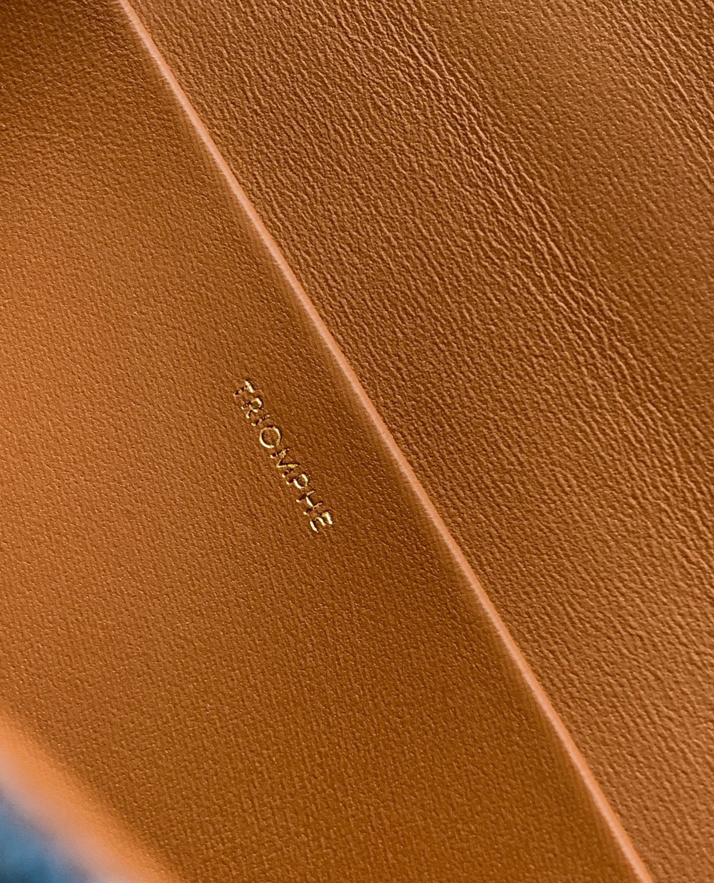CELINE BAG