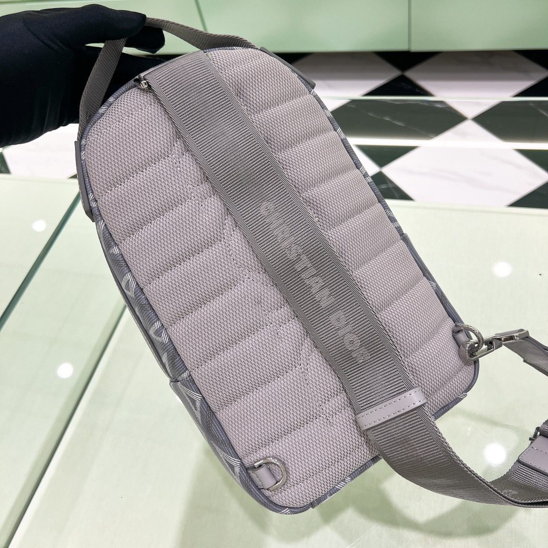 DIOR BAG