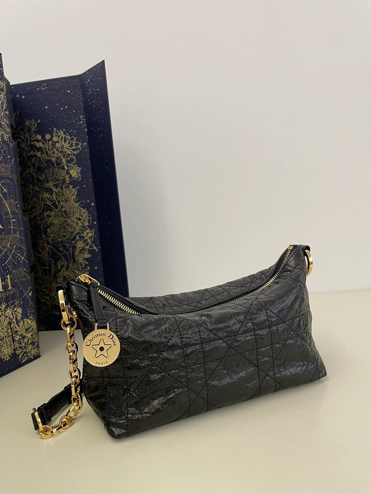 DIOR BAG