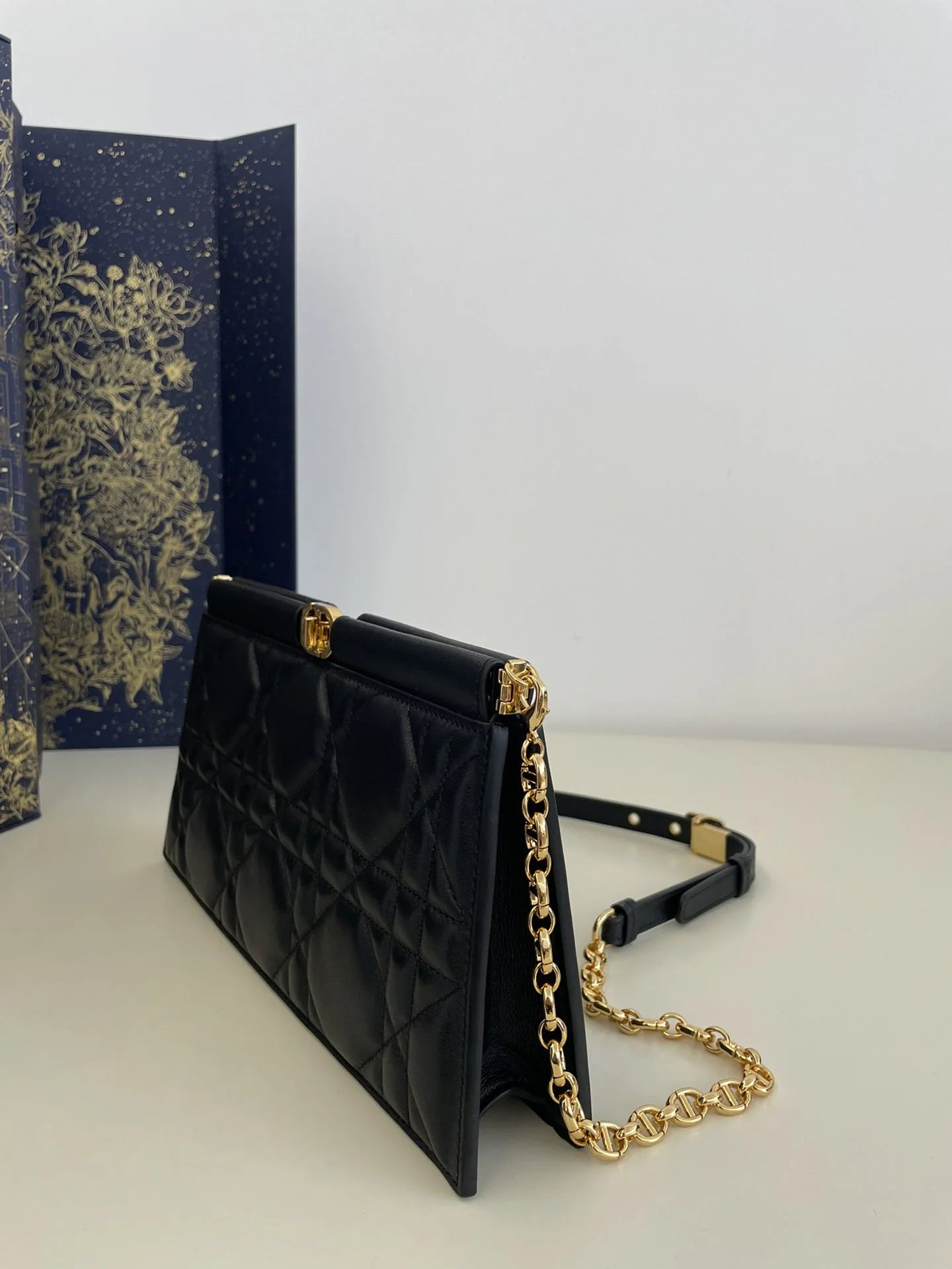 DIOR CARO BAG