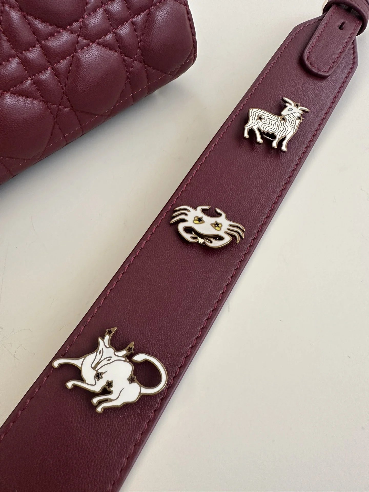 DIOR D JOY BAG