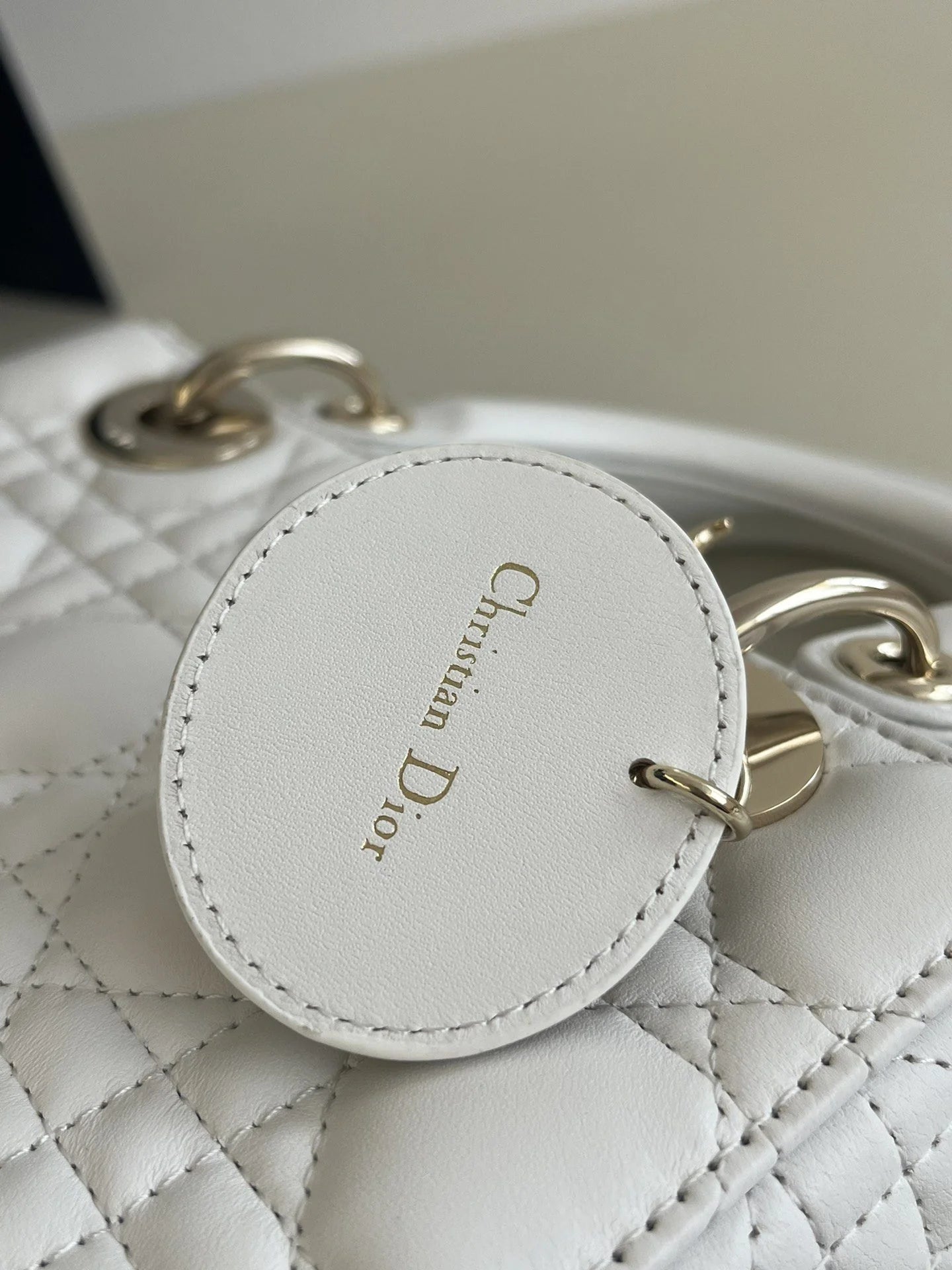 DIOR D JOY BAG
