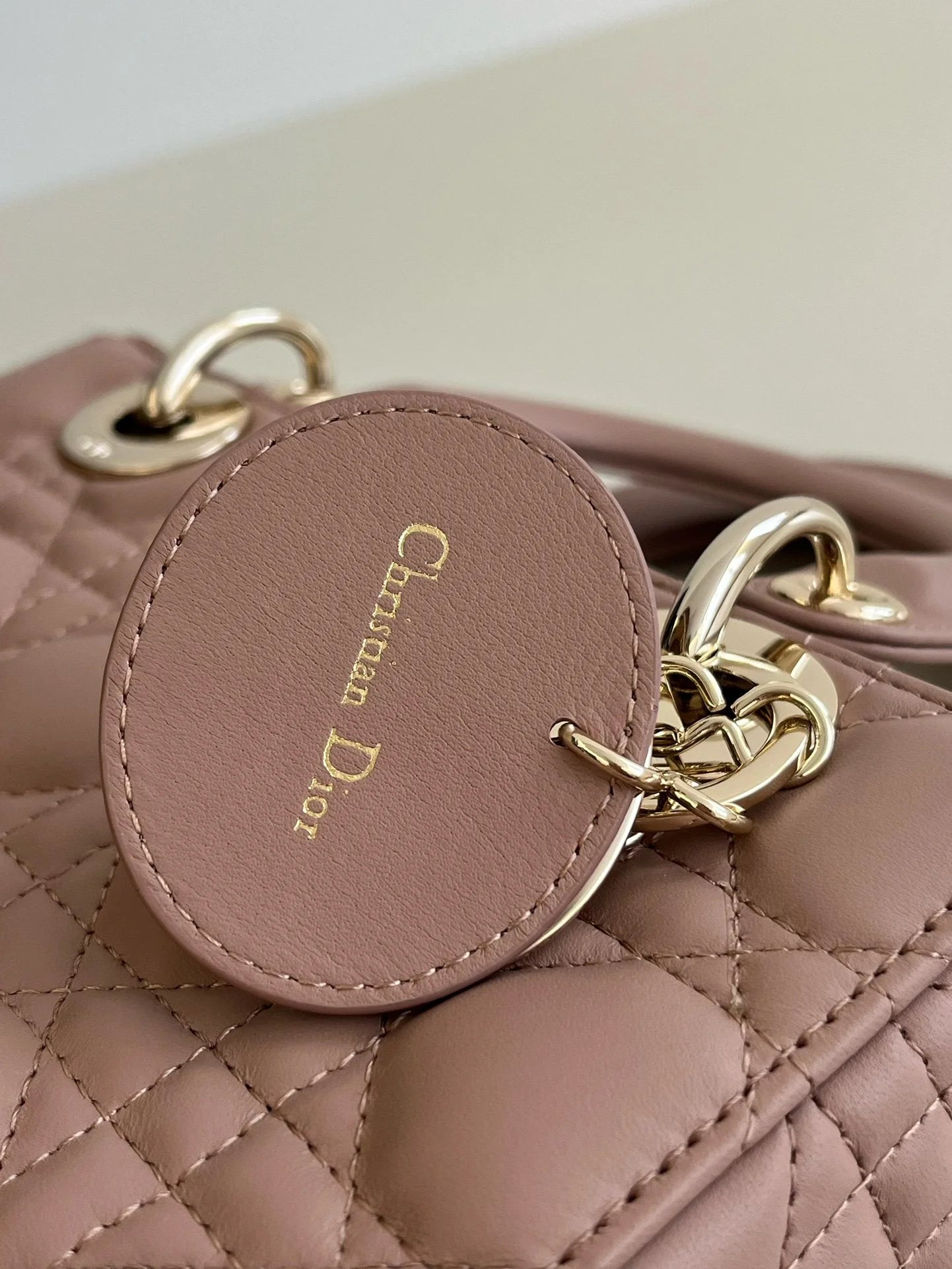 DIOR D JOY BAG