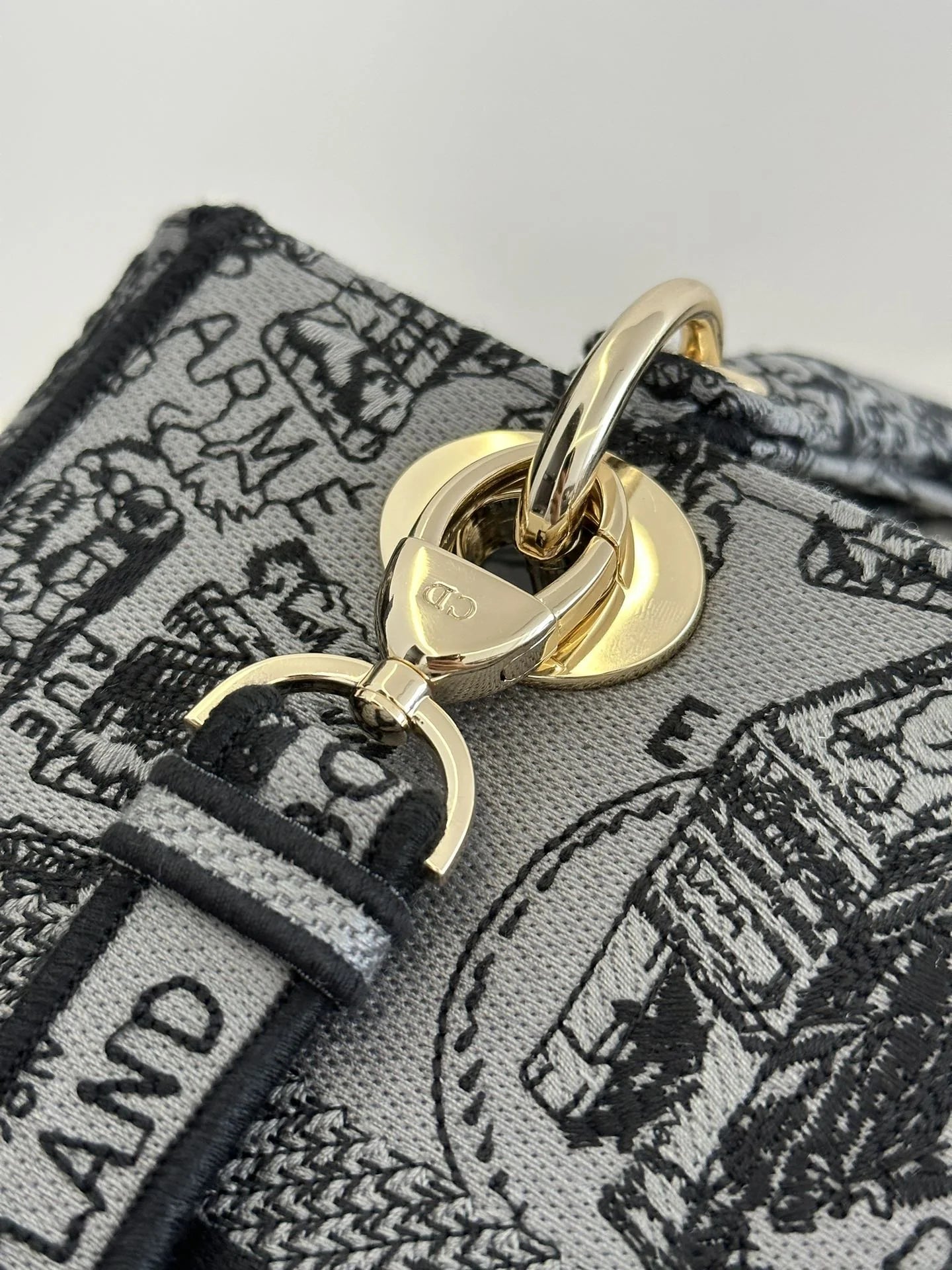 DIOR D JOY BAG