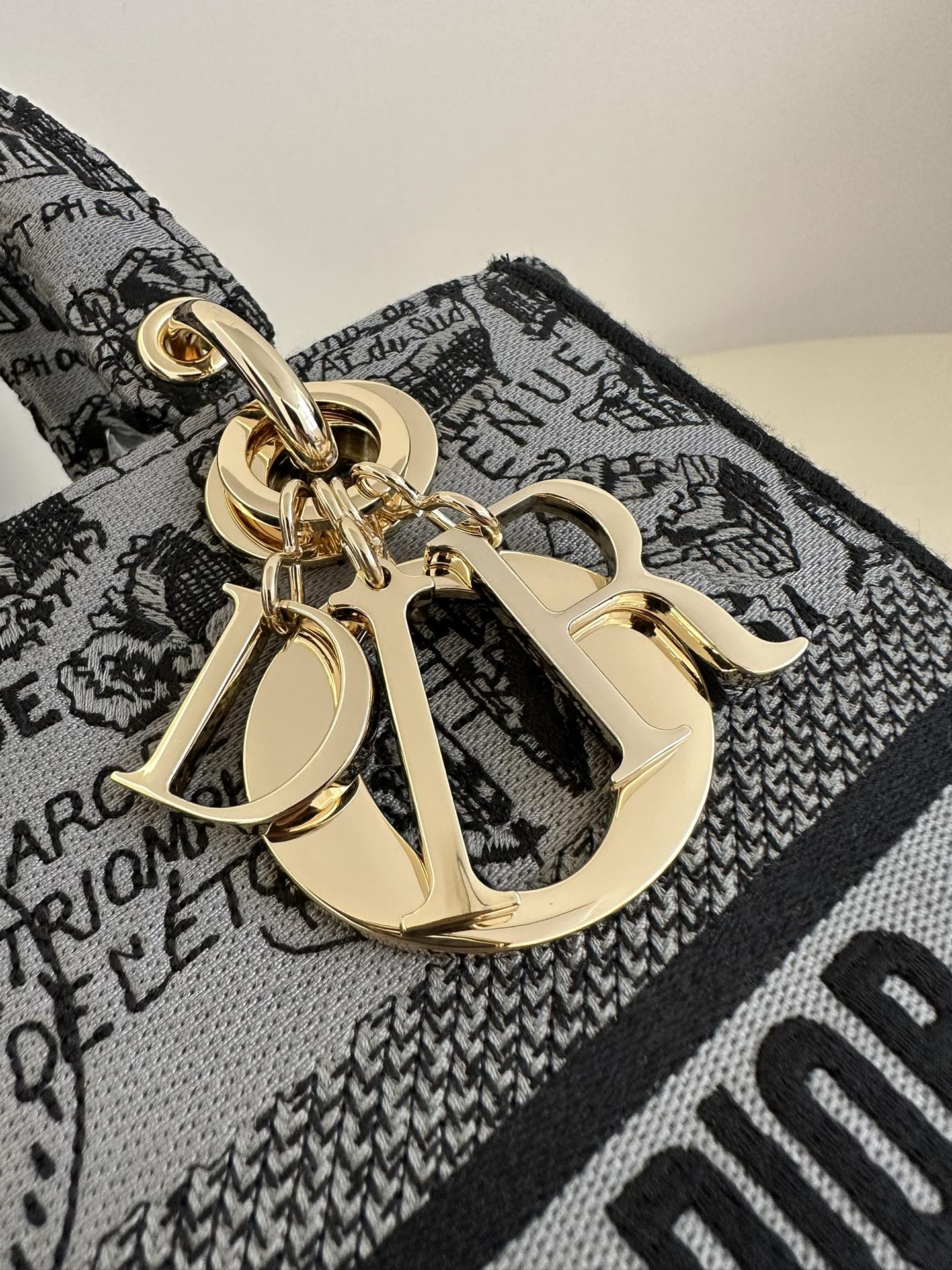 DIOR D JOY BAG