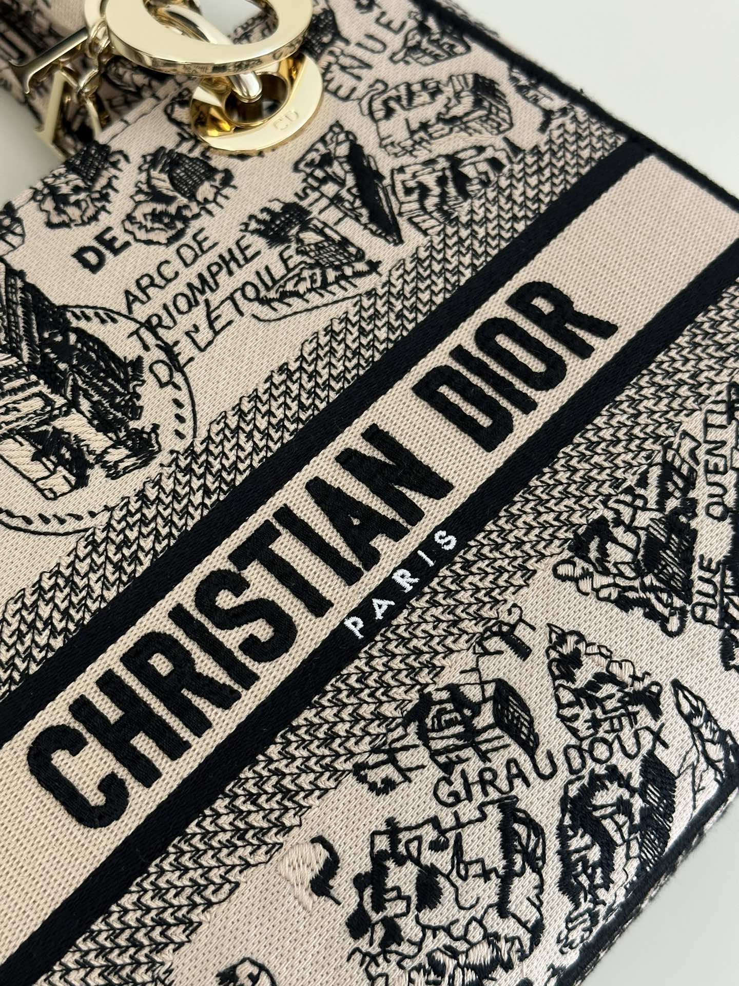 DIOR D JOY BAG