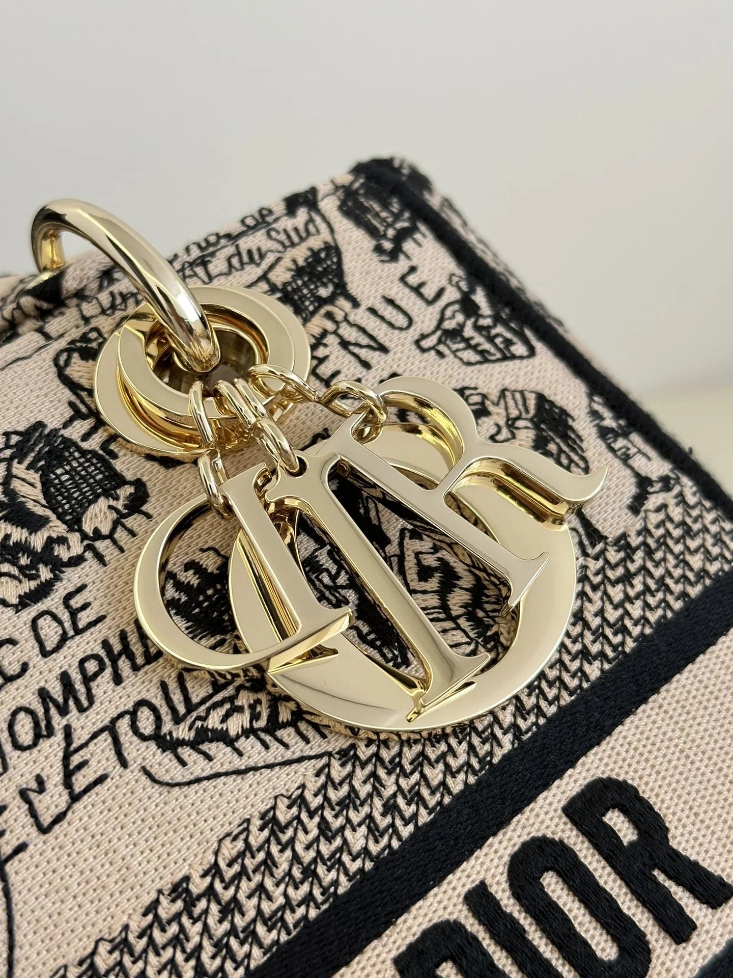 DIOR D JOY BAG