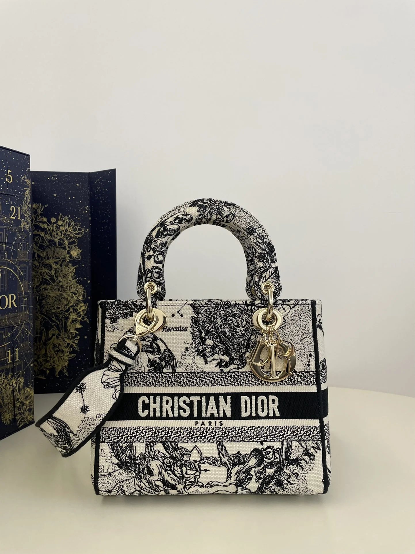 DIOR D JOY BAG
