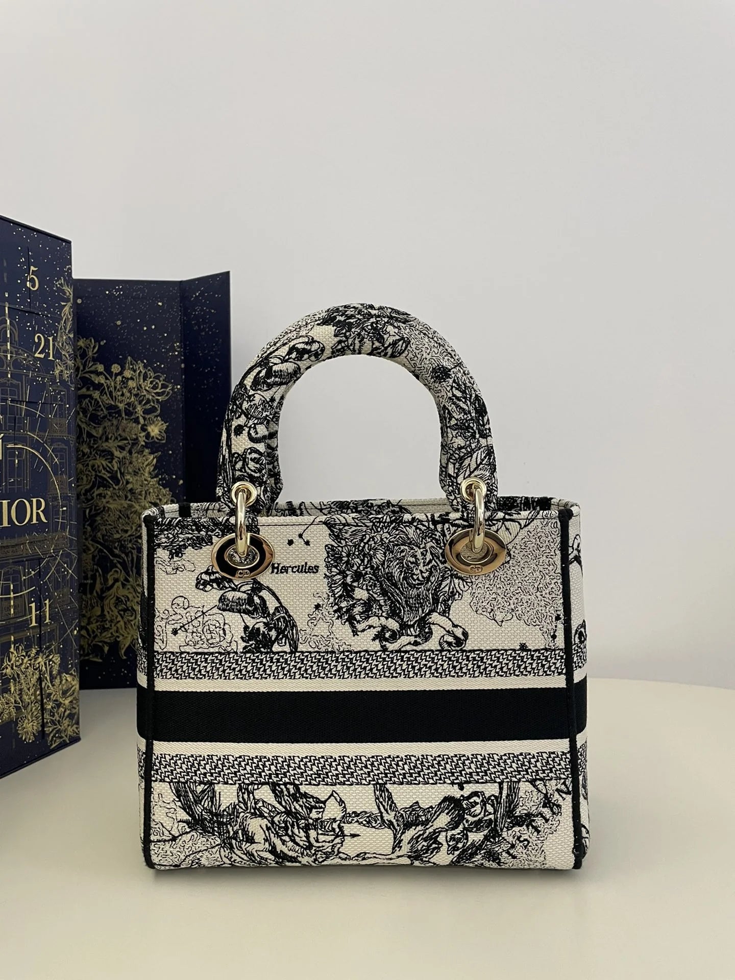 DIOR D JOY BAG