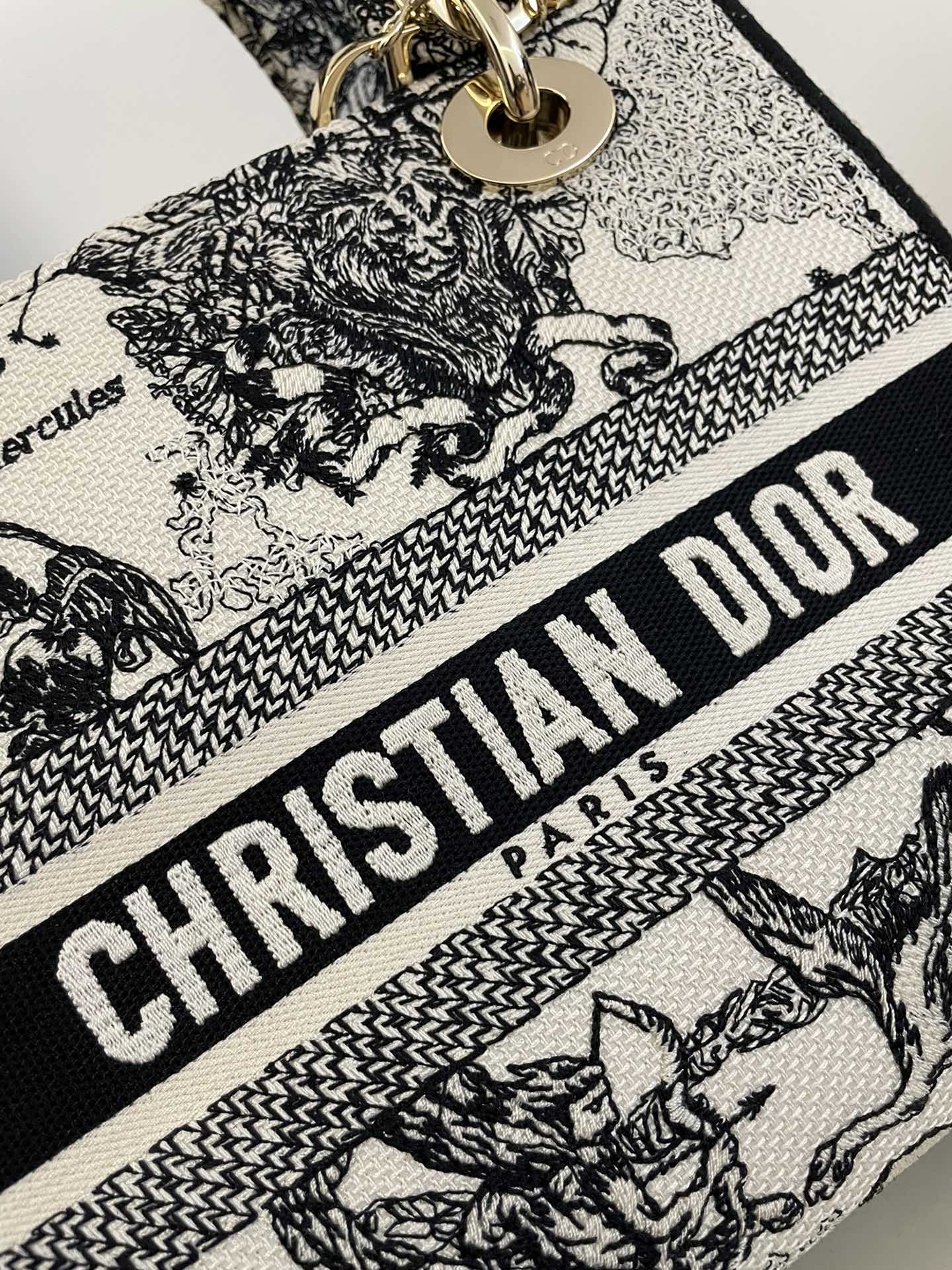DIOR D JOY BAG