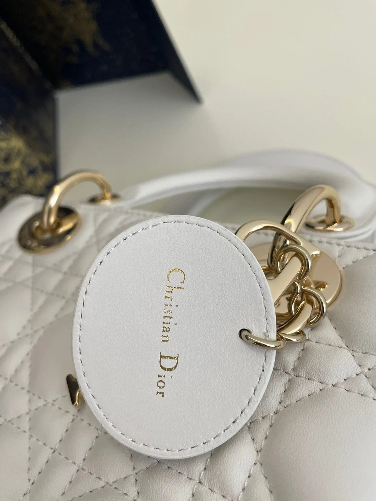 DIOR D JOY BAG