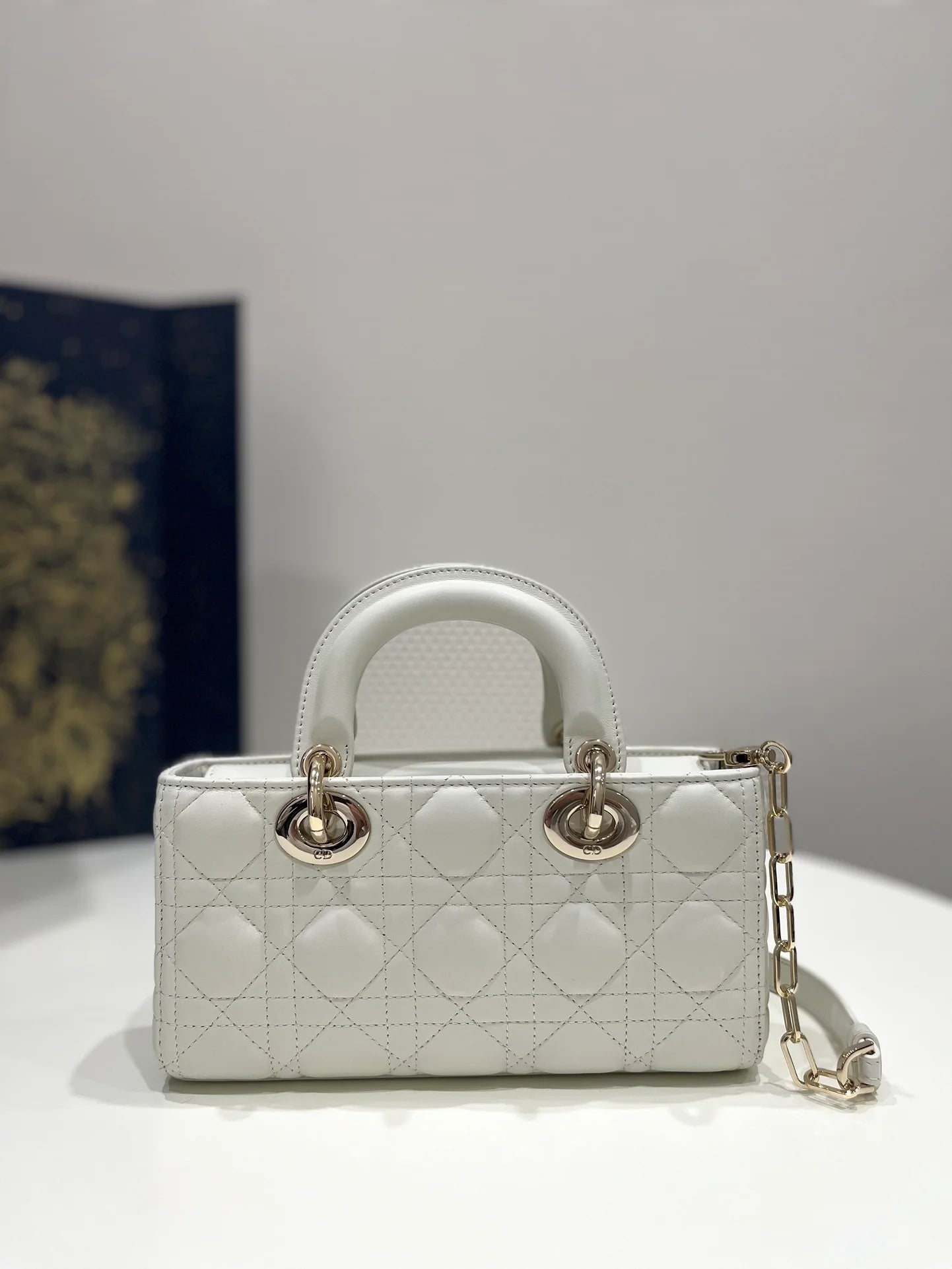 DIOR D JOY BAG