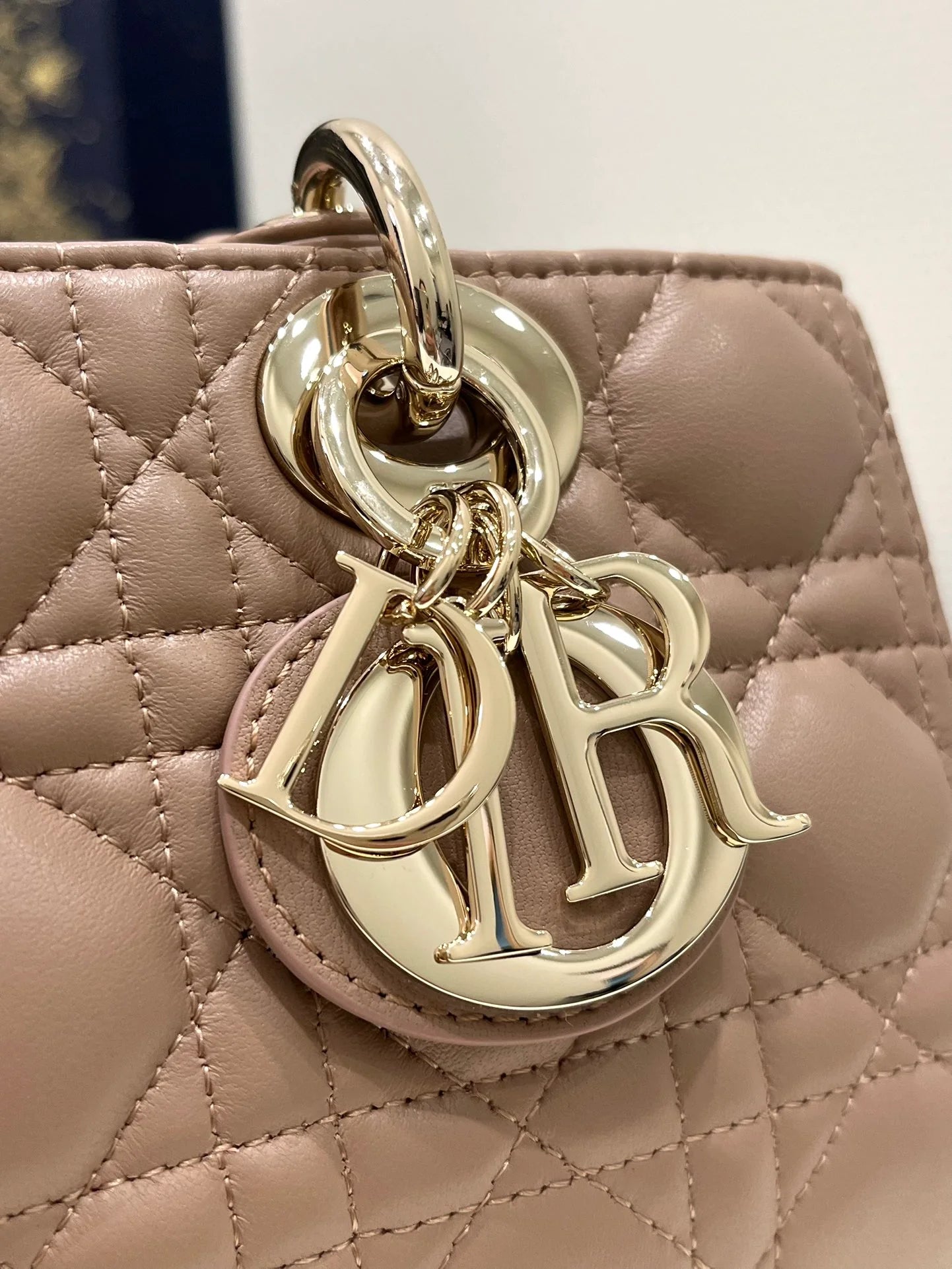 DIOR D JOY BAG