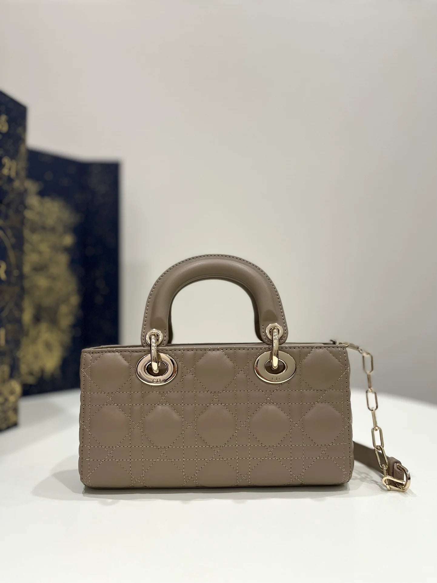 DIOR D JOY BAG