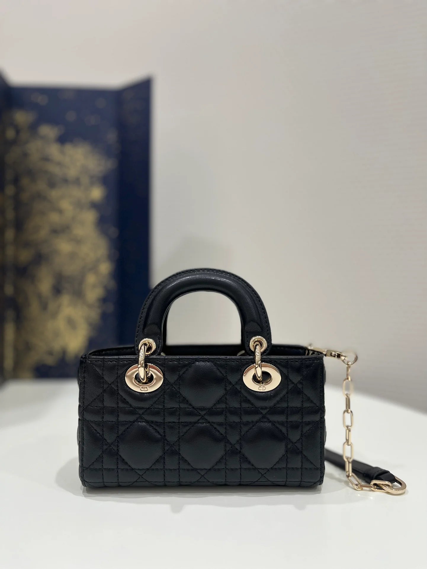 DIOR D JOY BAG