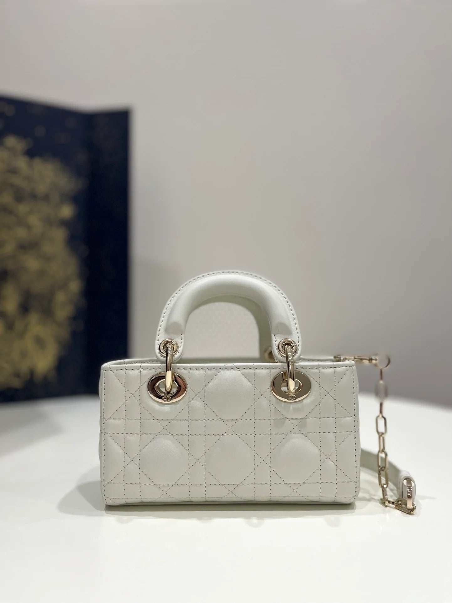 DIOR D JOY BAG