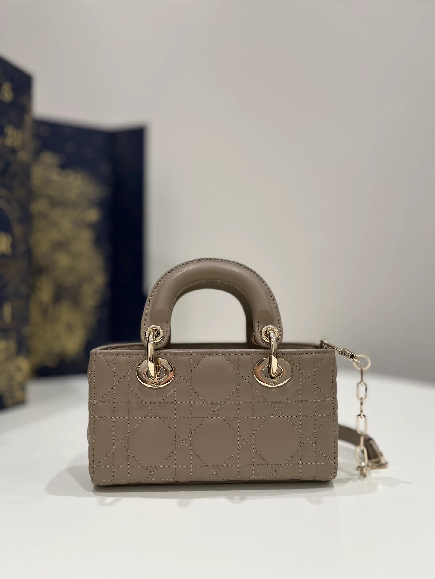 DIOR D JOY BAG