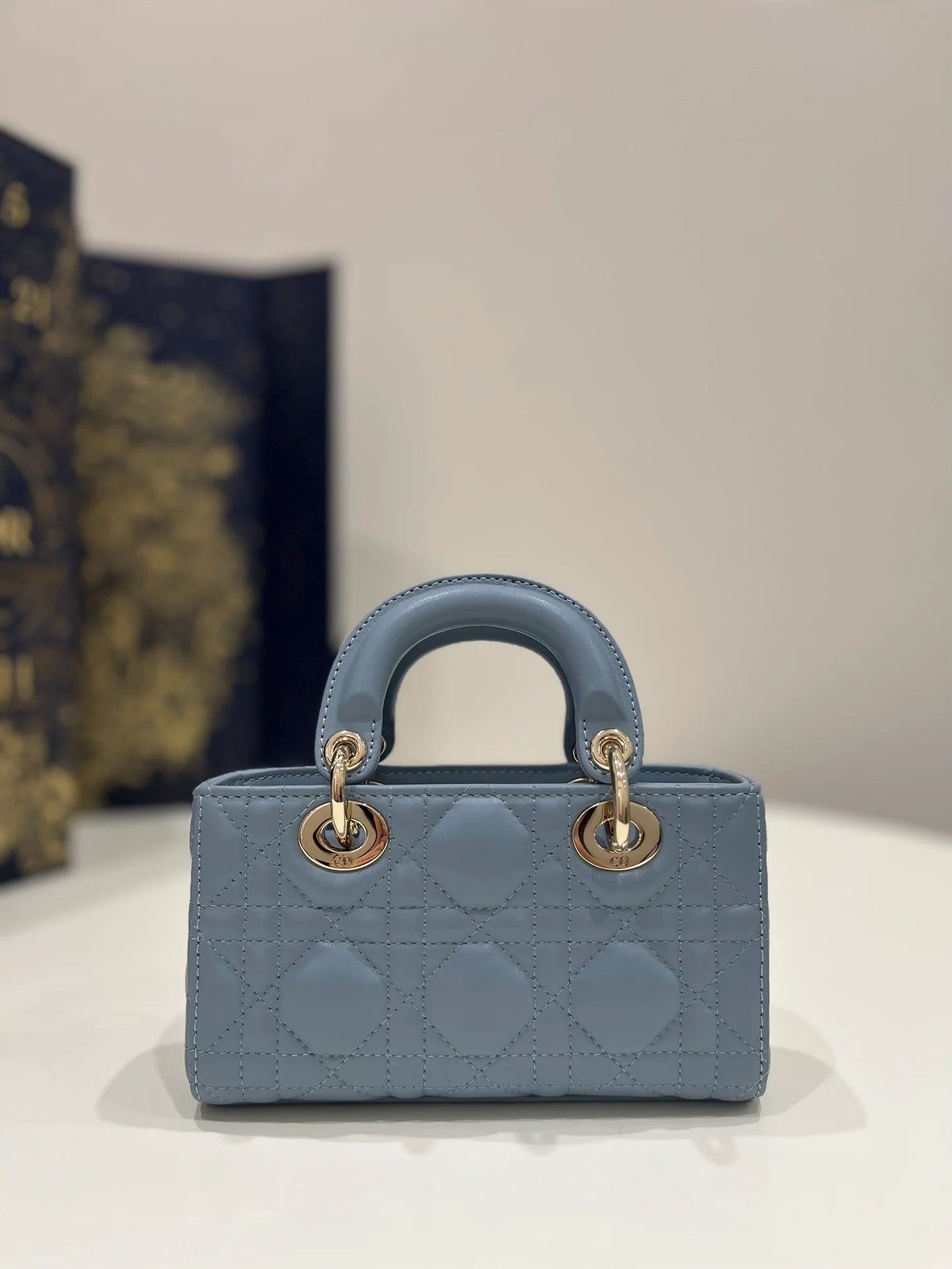 DIOR D JOY BAG