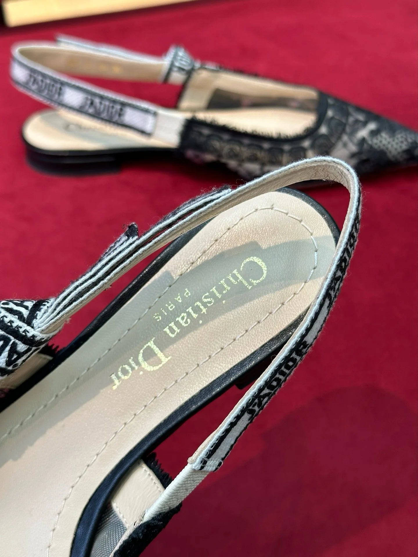 DIOR HEELS