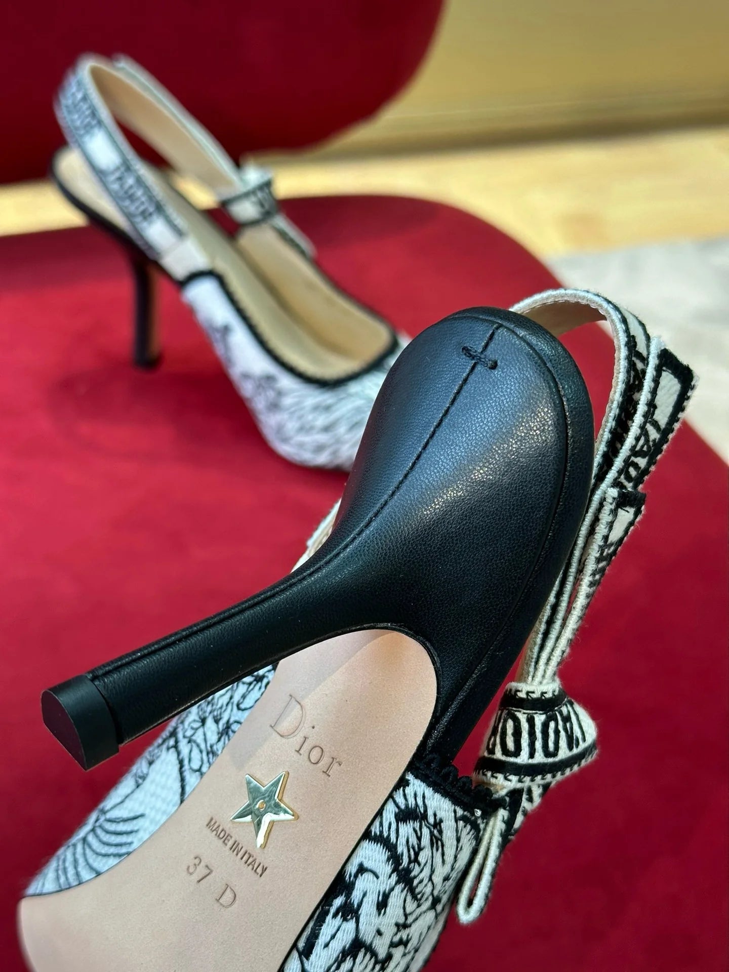 DIOR HEELS