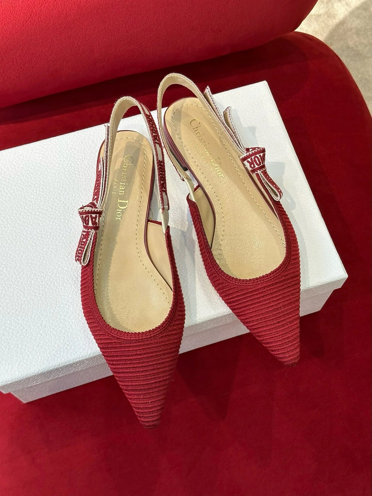 DIOR HEELS