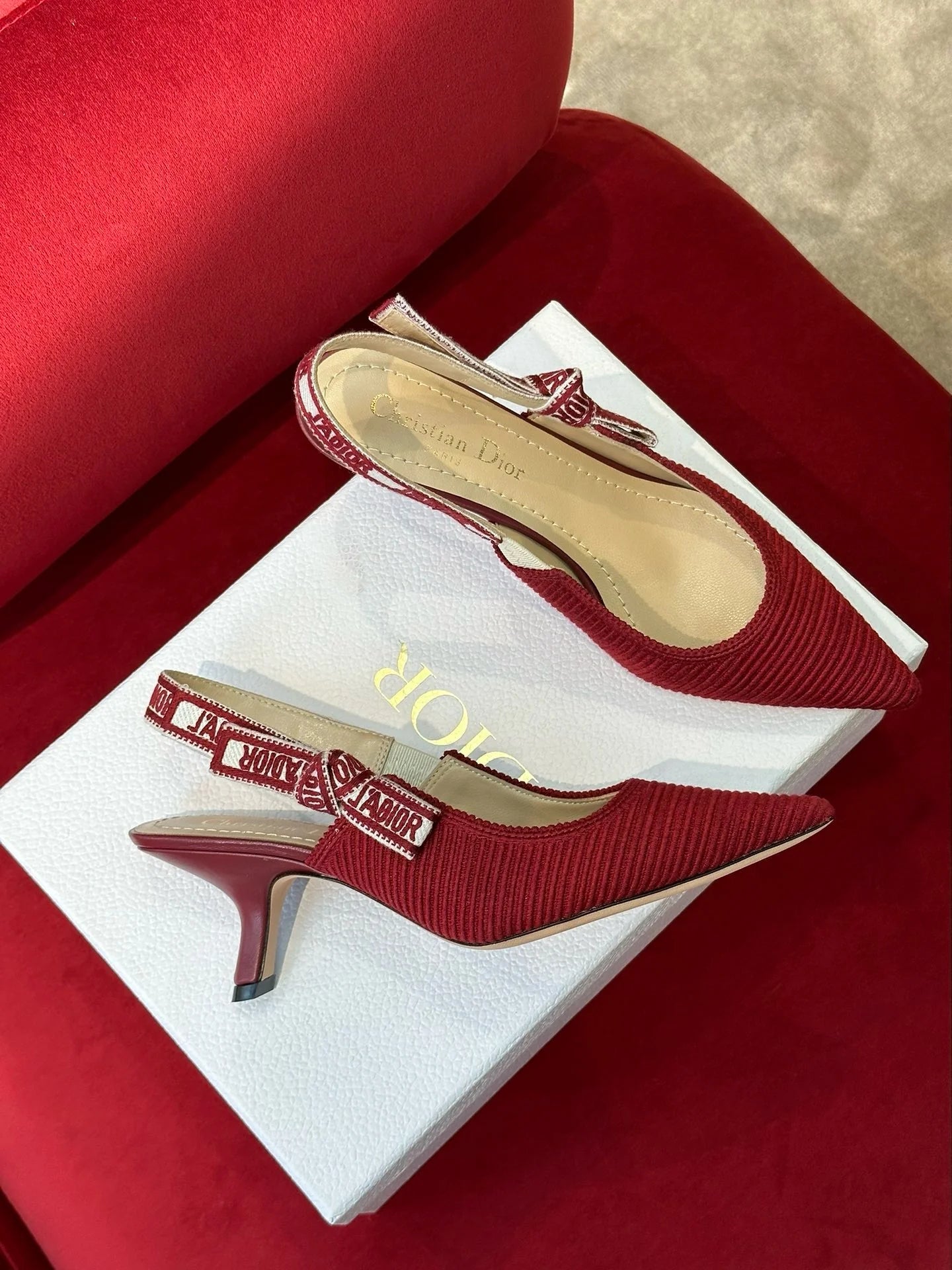 DIOR HEELS