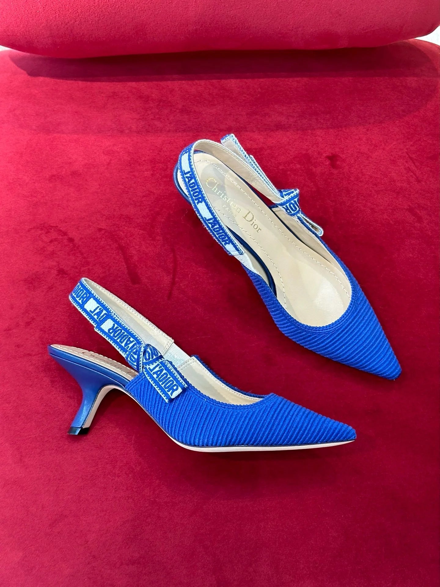 DIOR HEELS