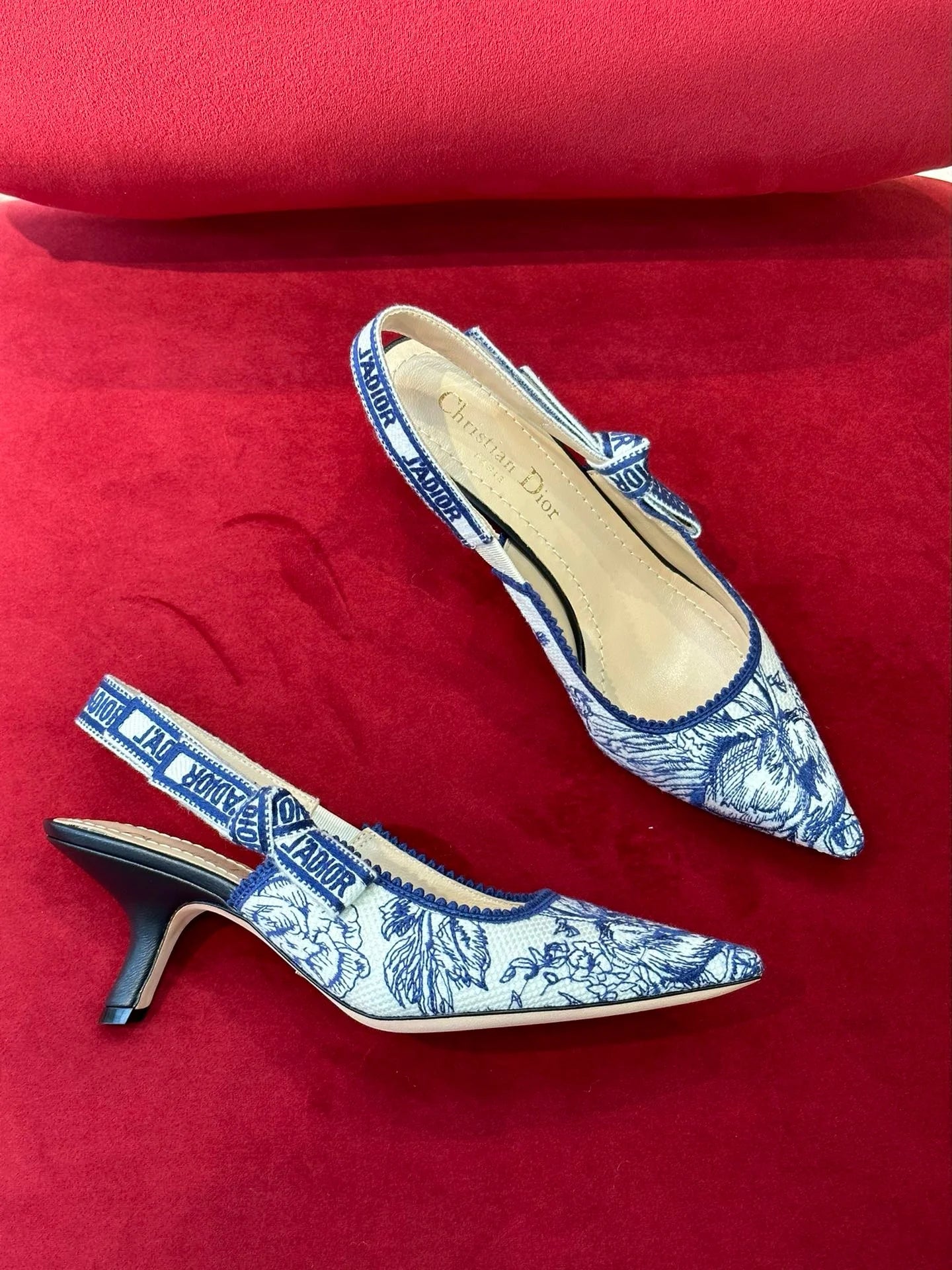 DIOR HEELS