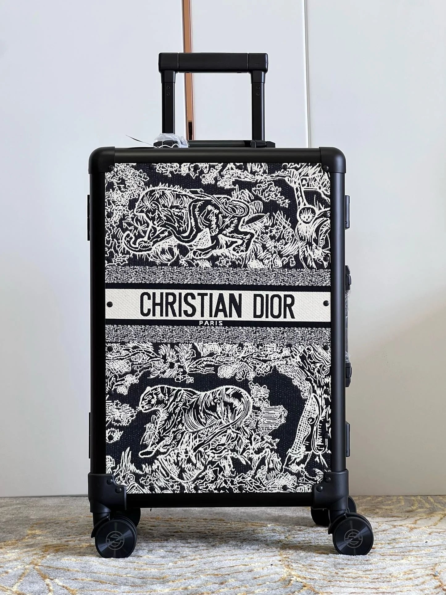 DIOR LUGGAGE