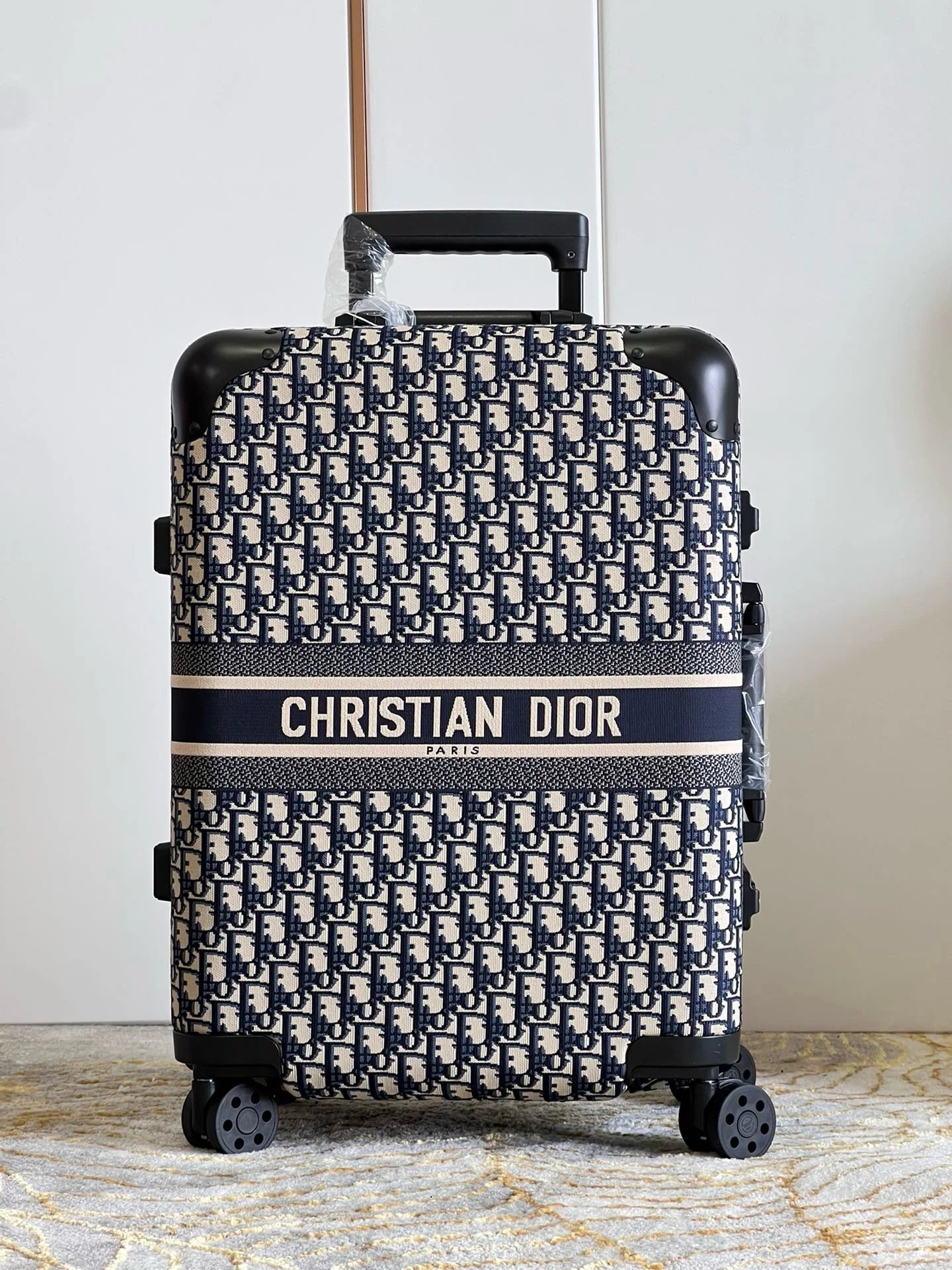 DIOR LUGGAGE COPY