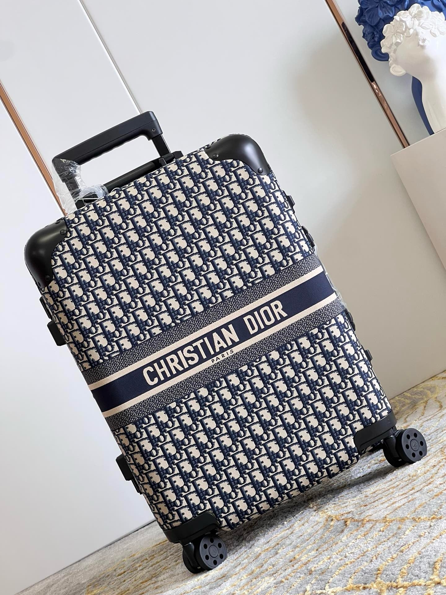 DIOR LUGGAGE COPY