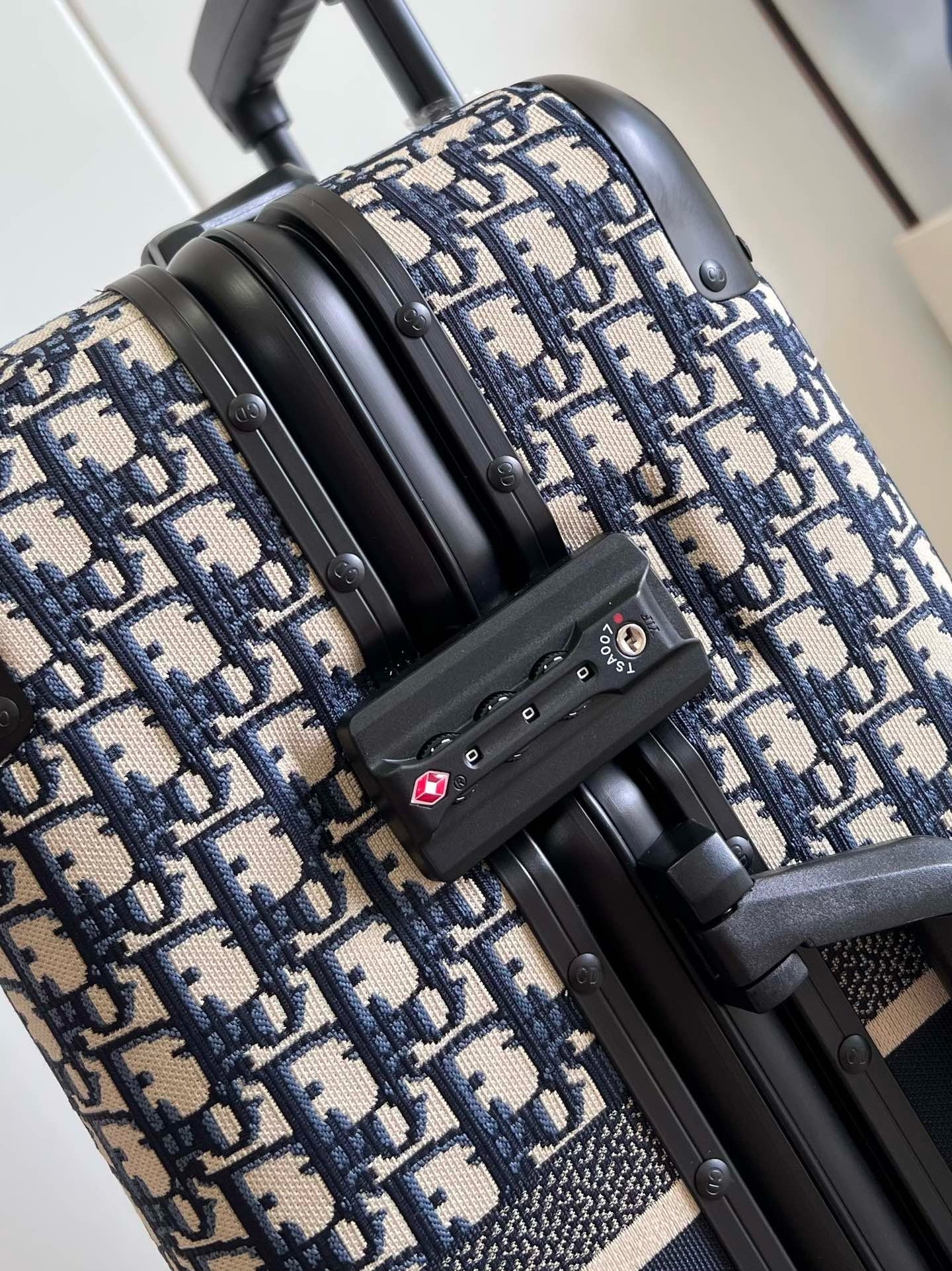 DIOR LUGGAGE COPY