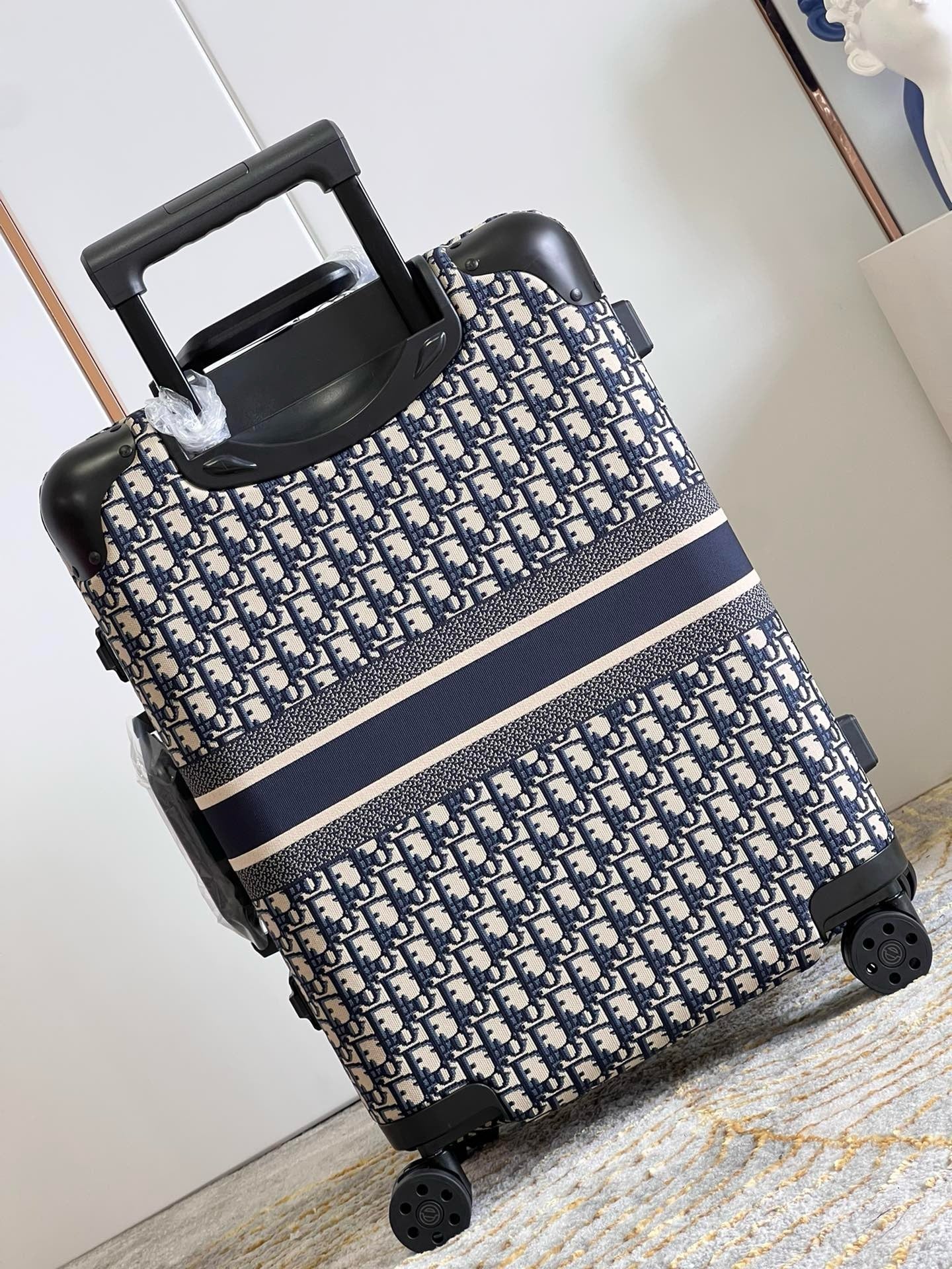 DIOR LUGGAGE COPY