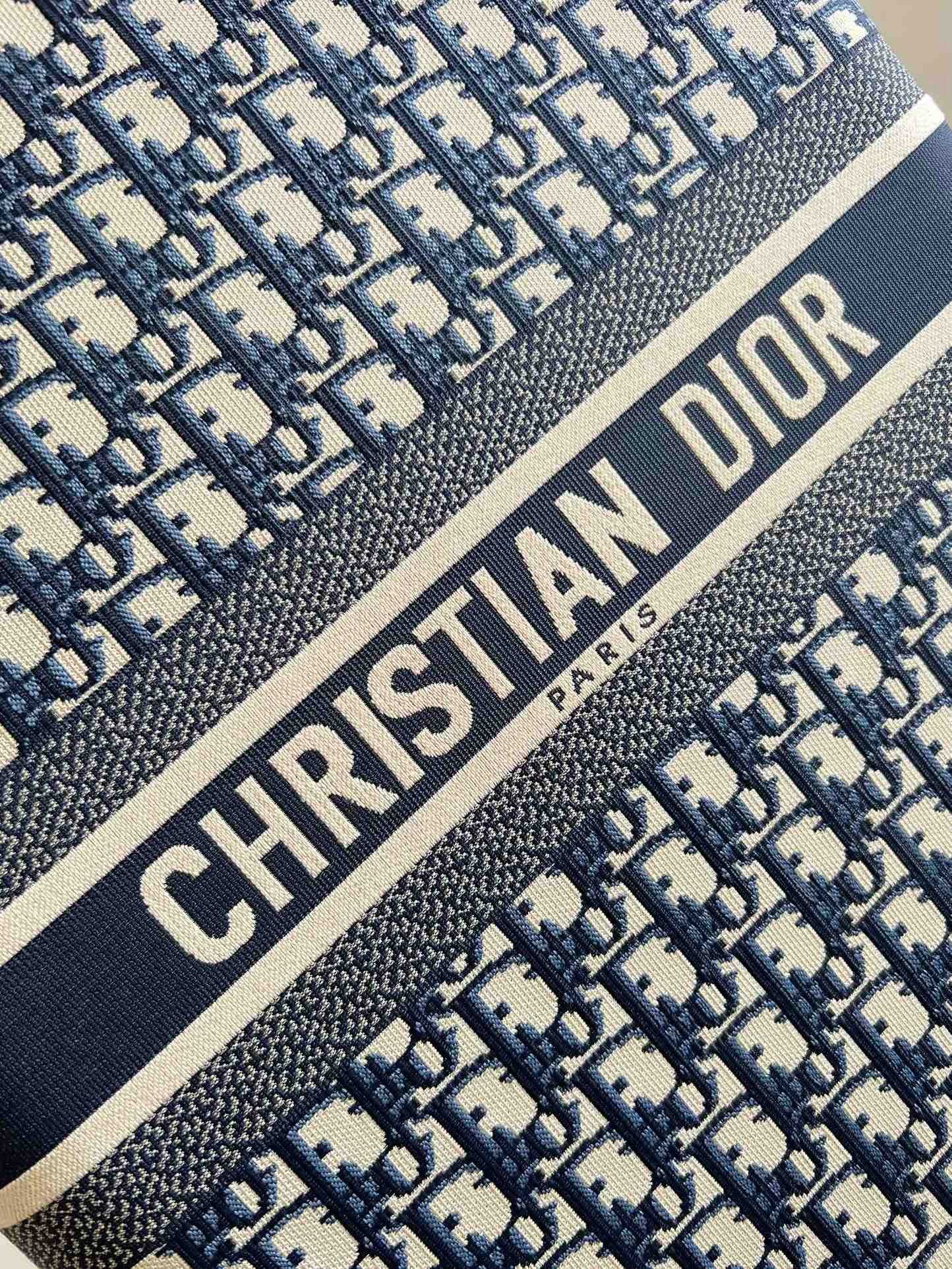 DIOR LUGGAGE COPY