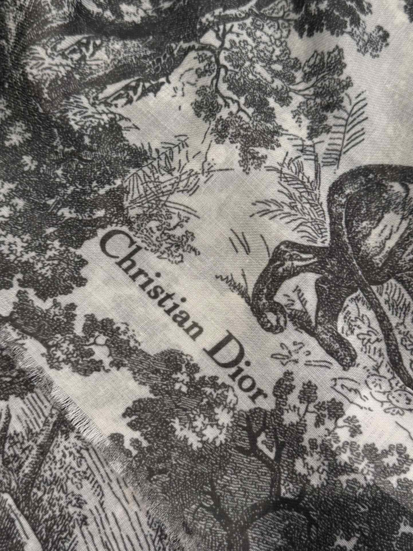 DIOR SCARF