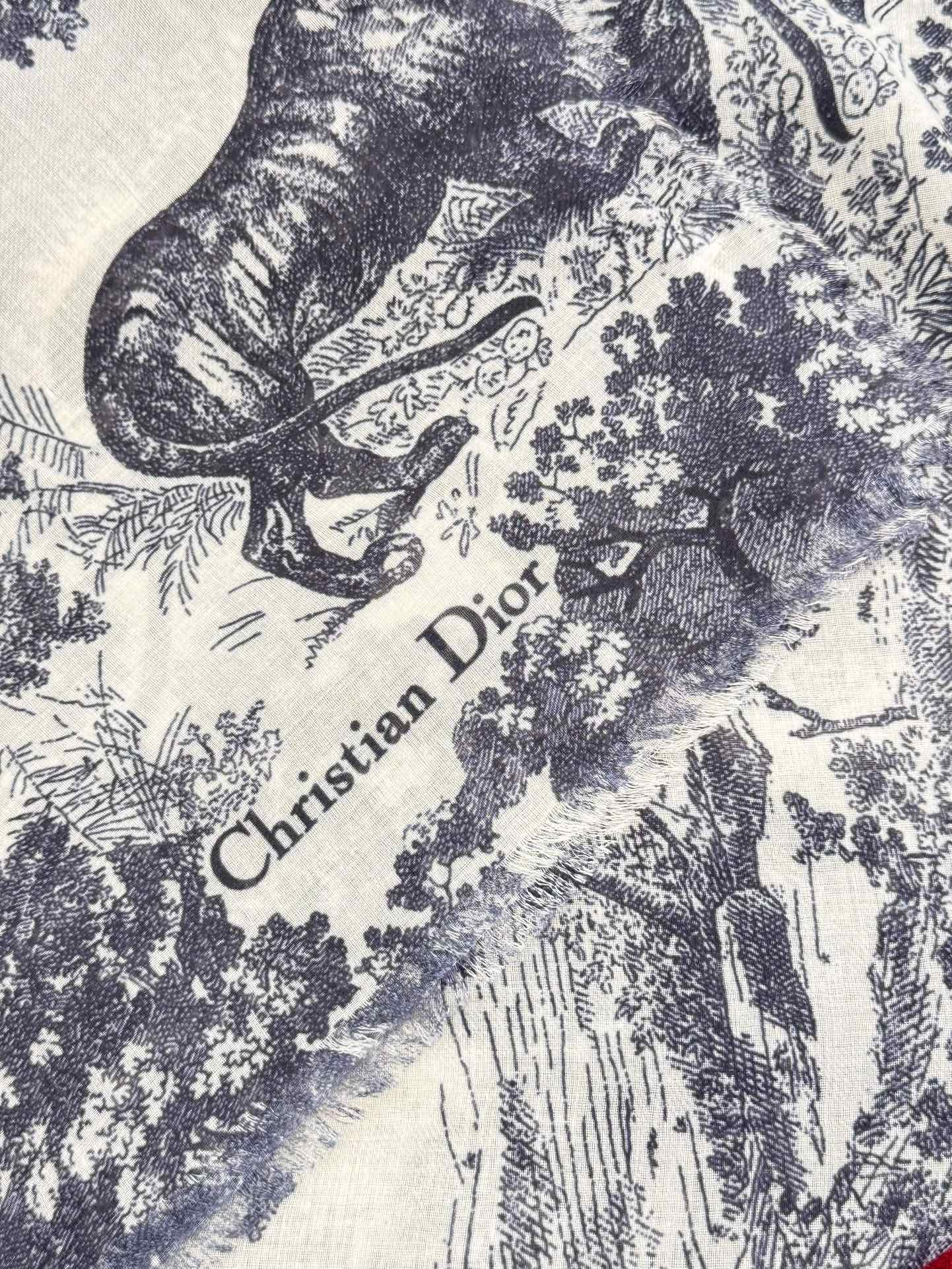 DIOR SCARF