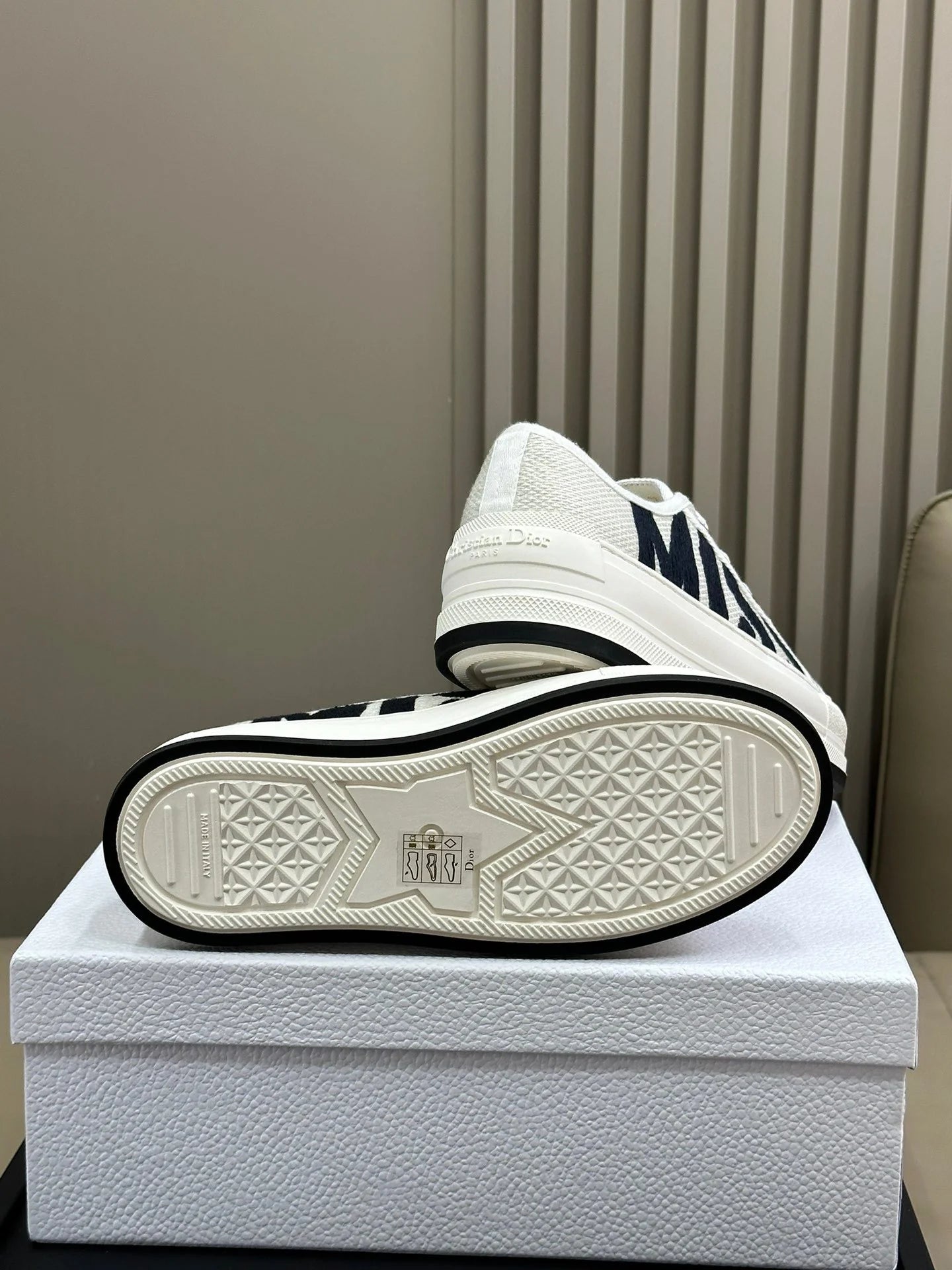 DIOR SNEAKER