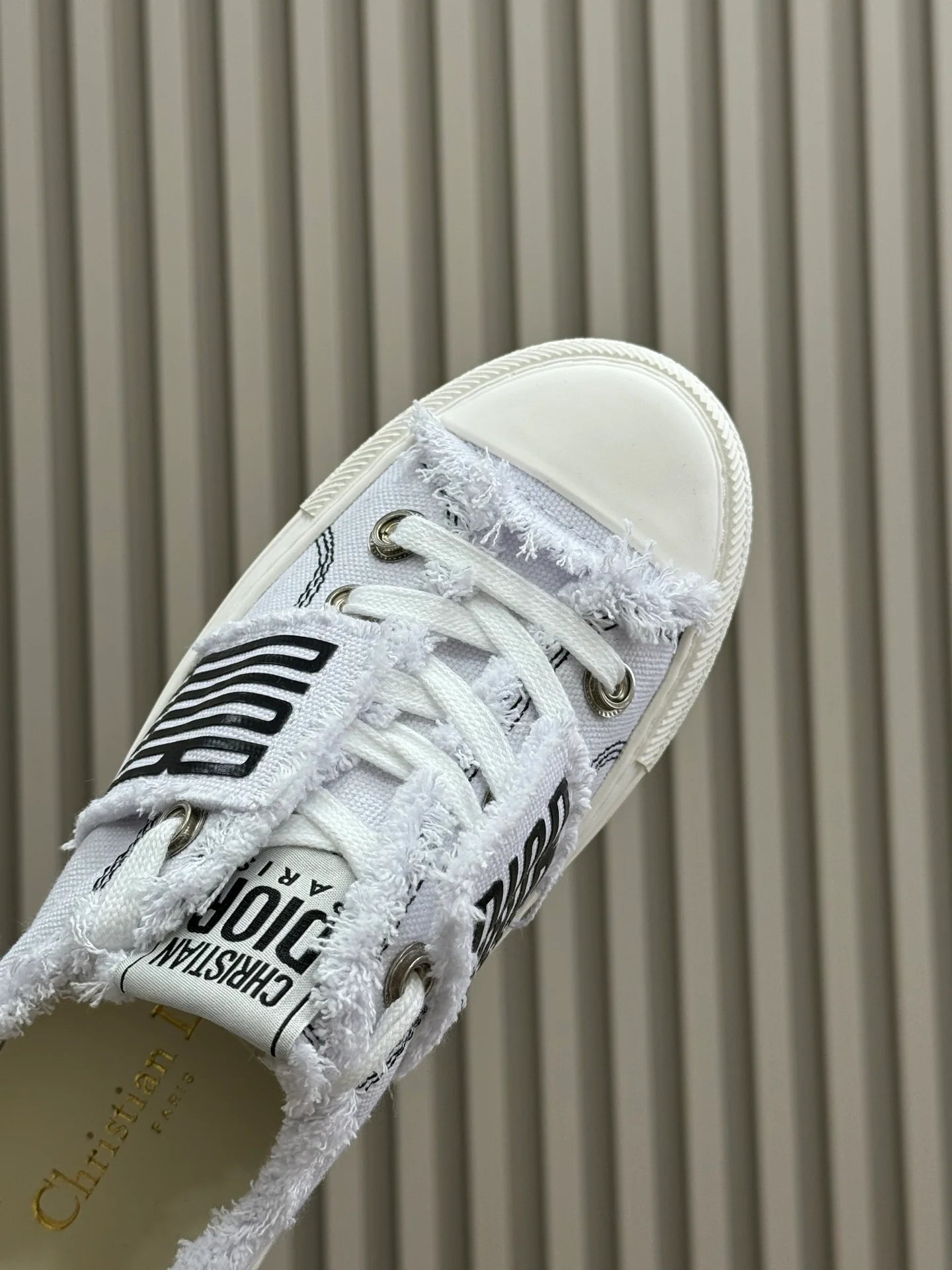DIOR SNEAKER