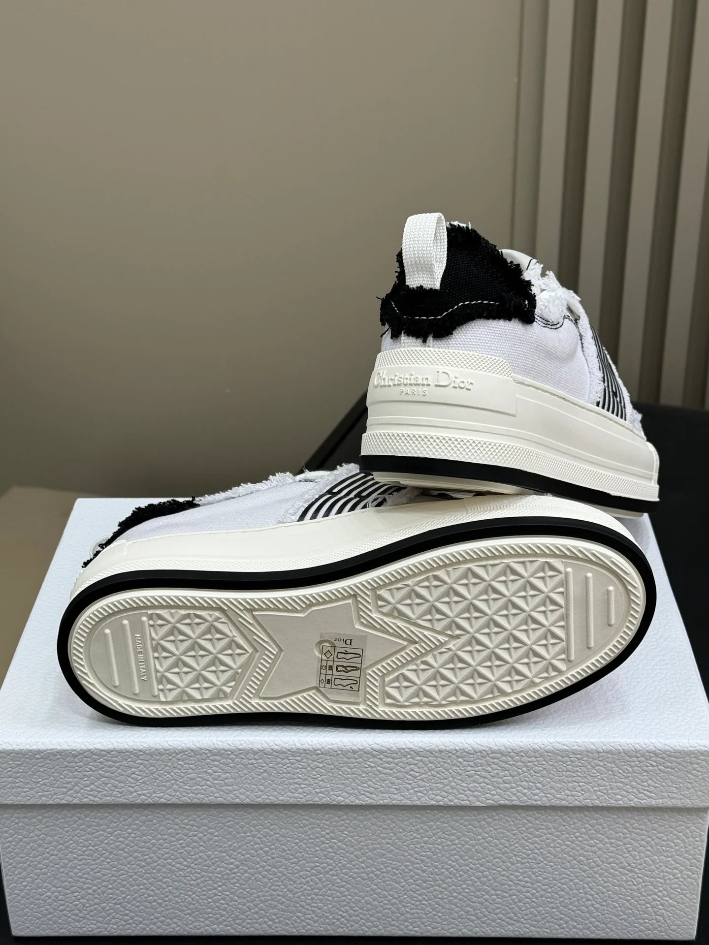 DIOR SNEAKER