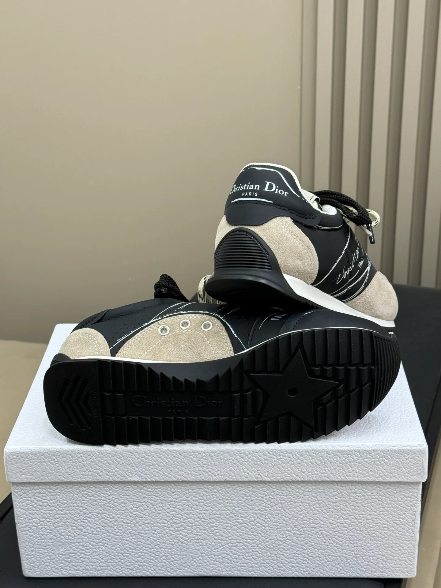 DIOR SNEAKER