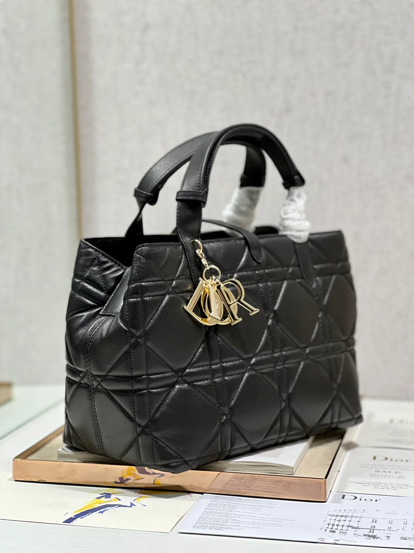 DIOR THE LADY 95 22 BAG