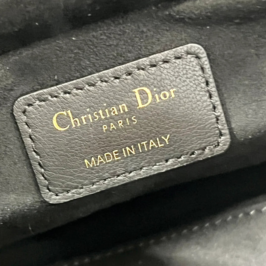 DIOR THE LADY 95 22 BAG