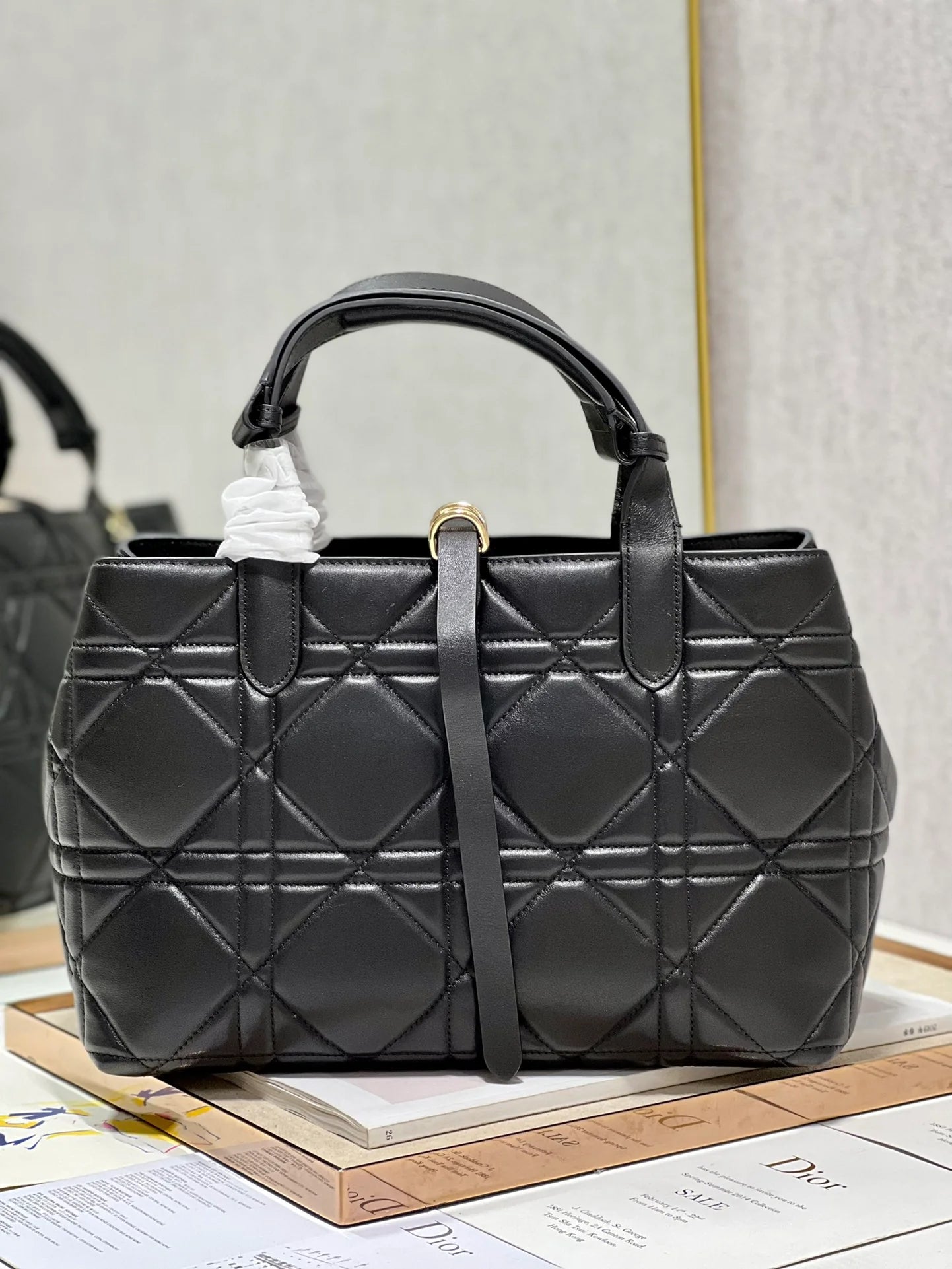 DIOR THE LADY 95 22 BAG