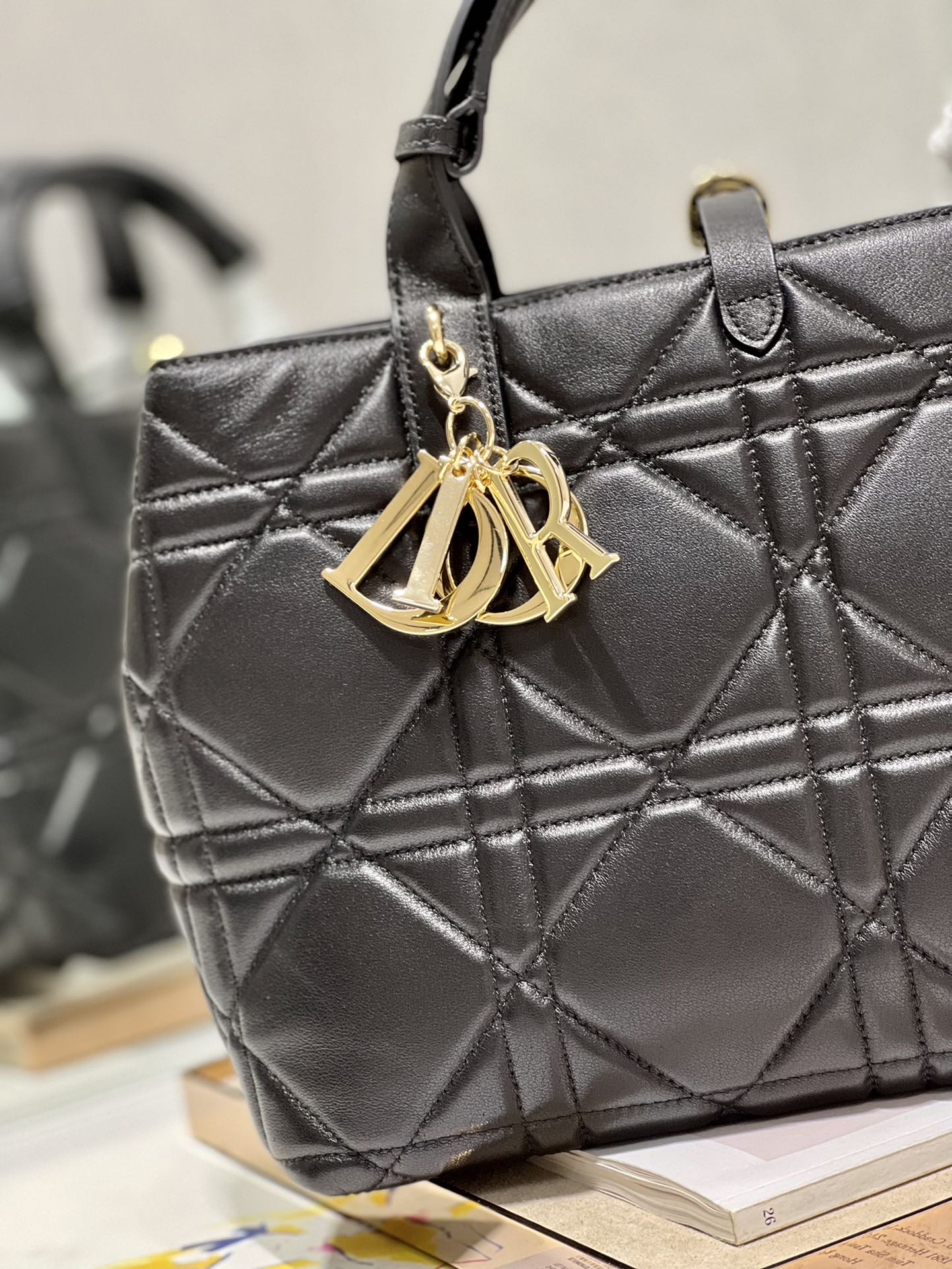 DIOR THE LADY 95 22 BAG