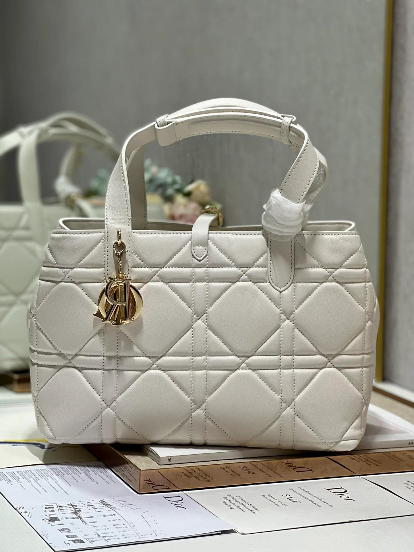 DIOR THE LADY 95 22 BAG
