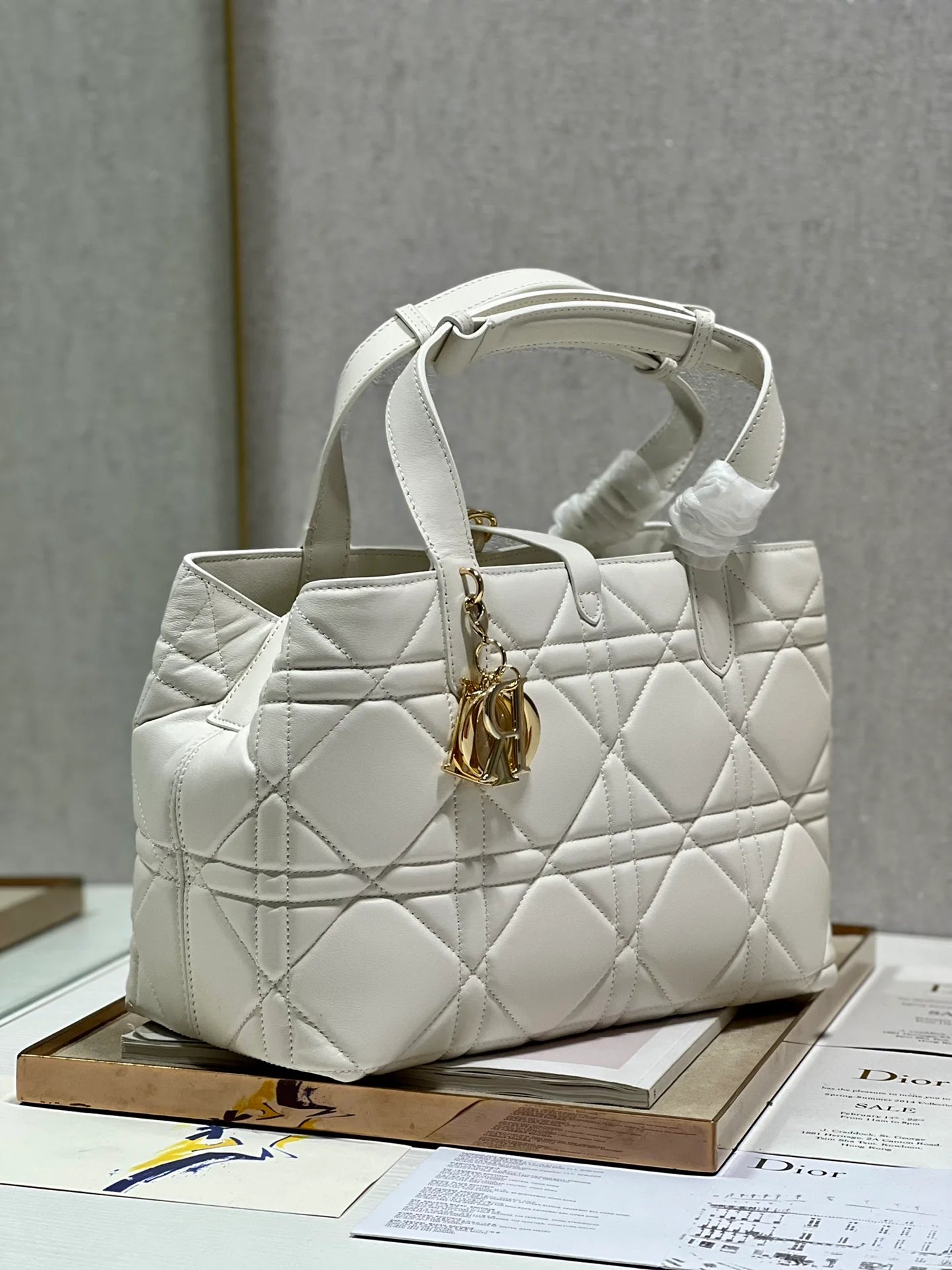 DIOR THE LADY 95 22 BAG