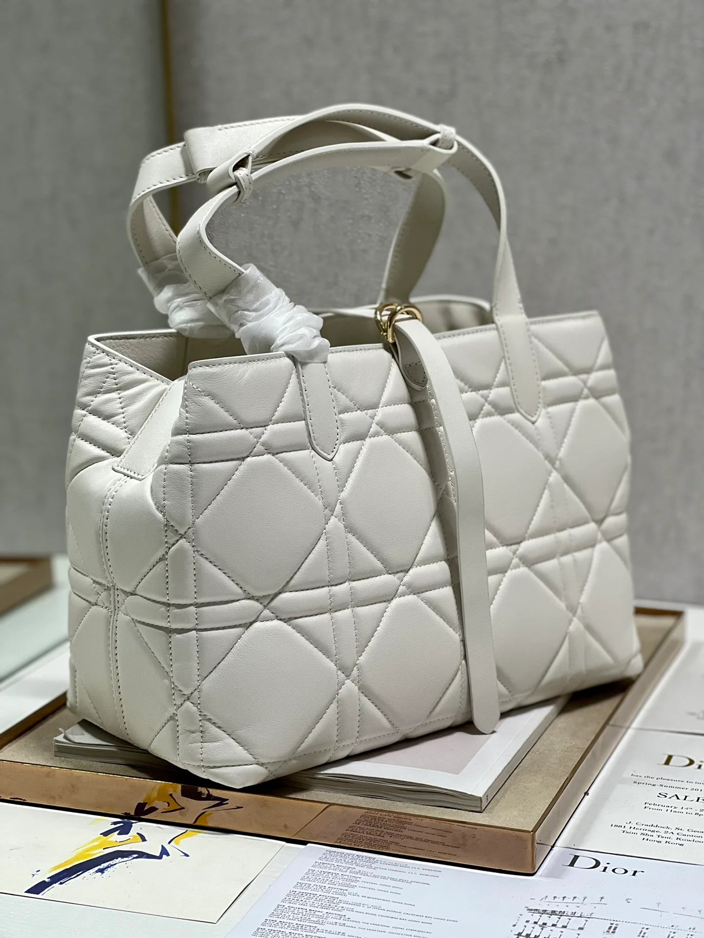 DIOR THE LADY 95 22 BAG