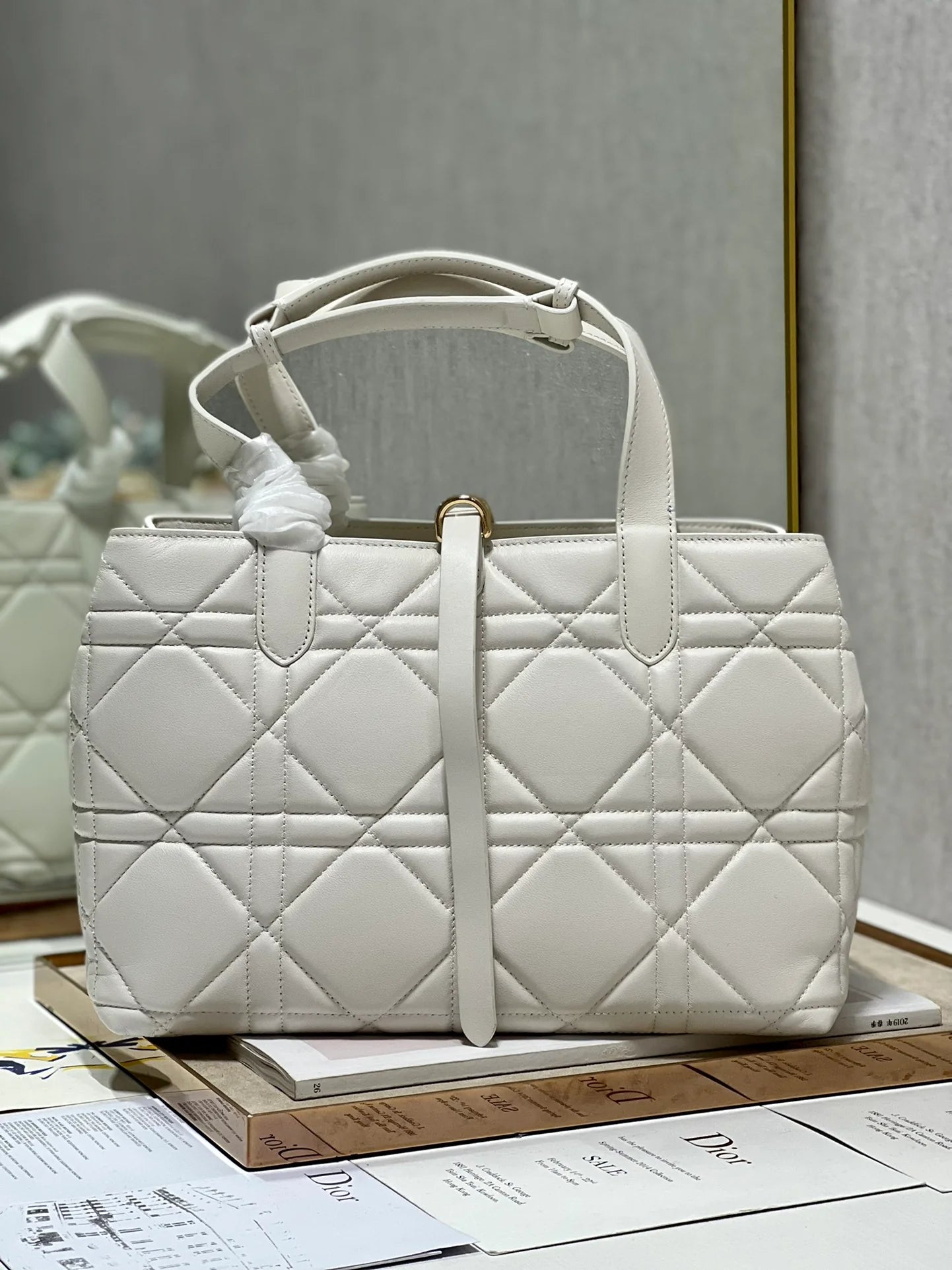 DIOR THE LADY 95 22 BAG