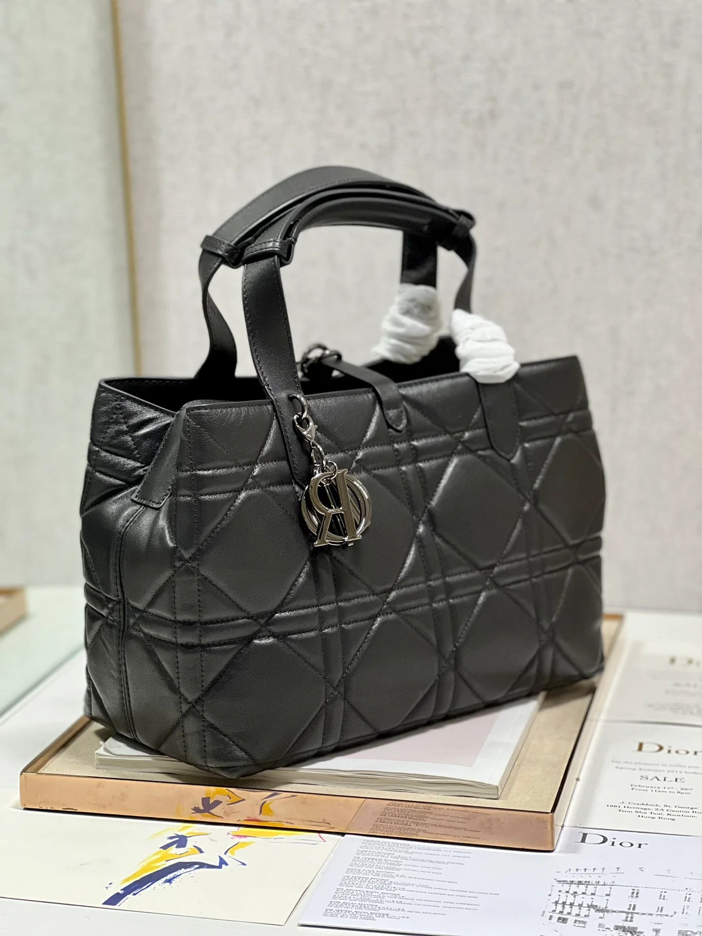 DIOR THE LADY 95 22 BAG